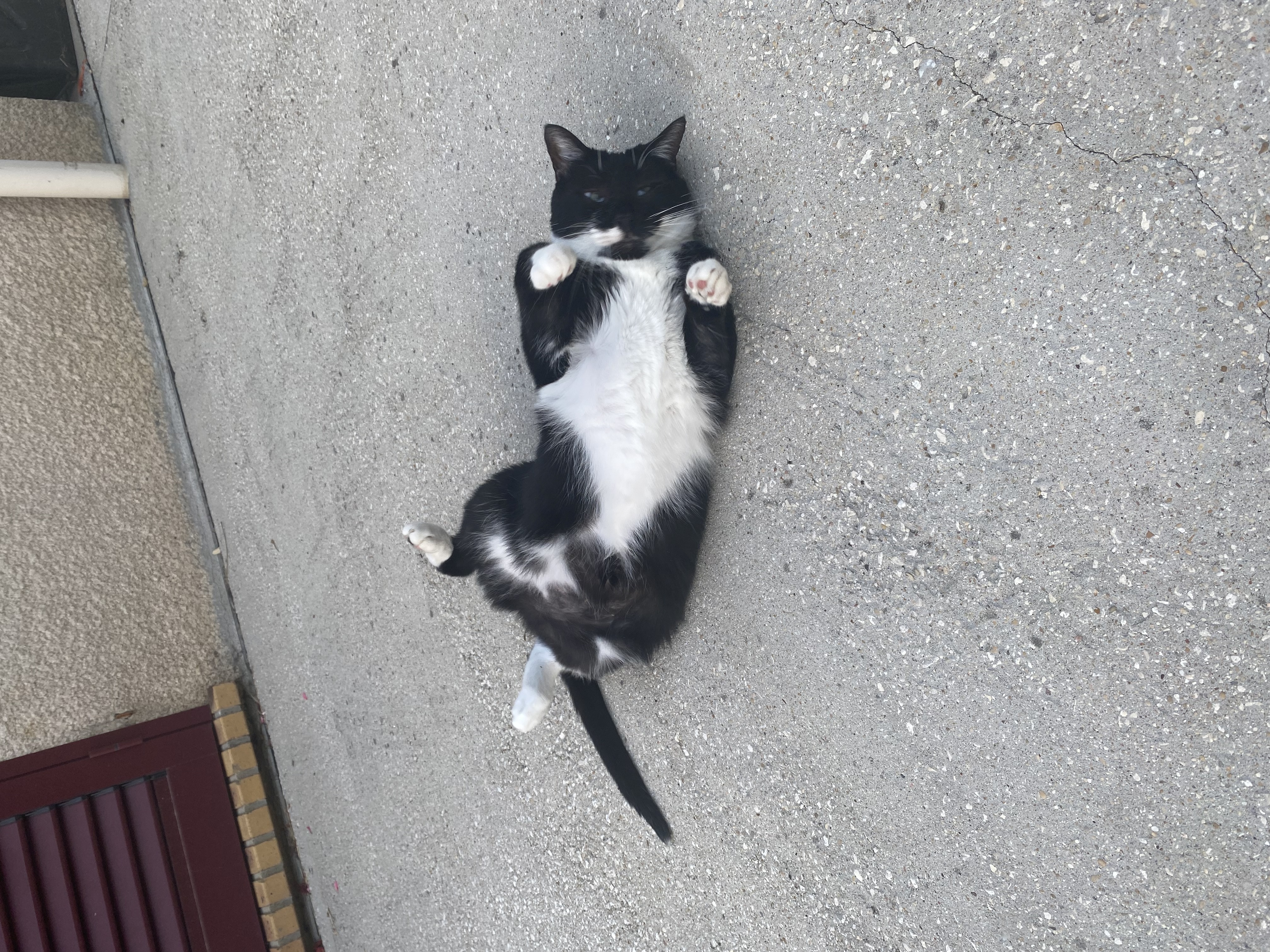 image-6