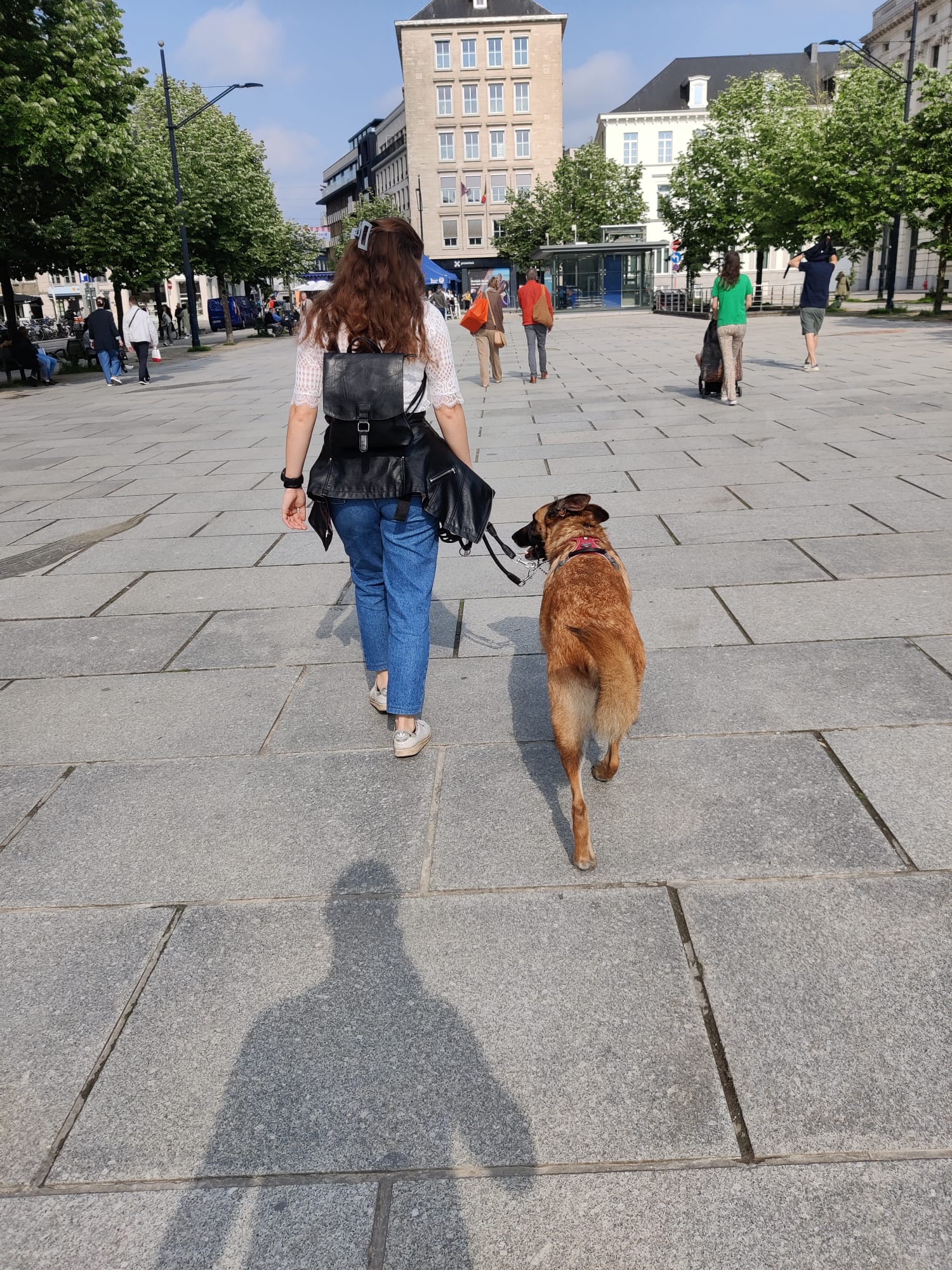 image-11