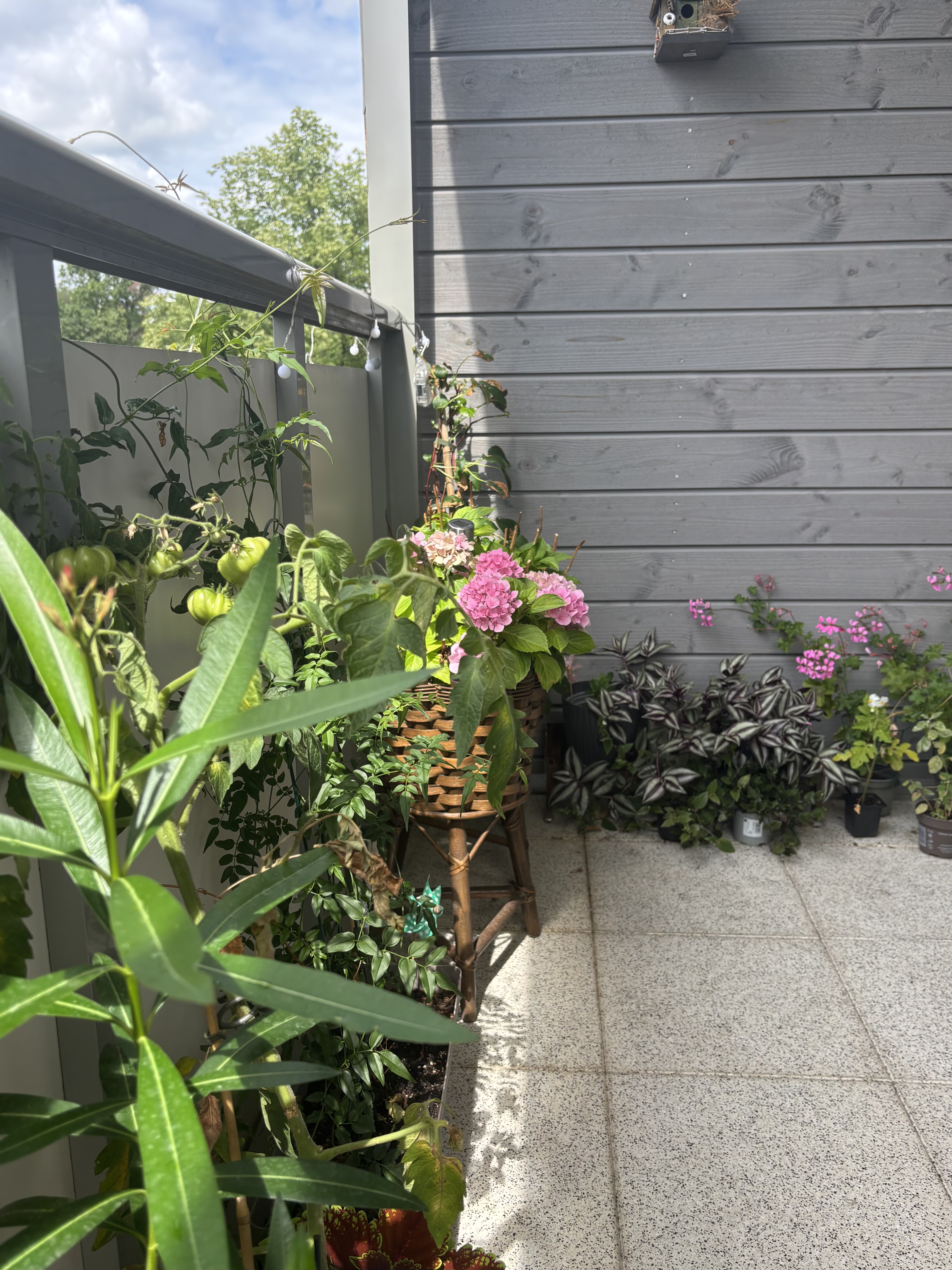 image-5