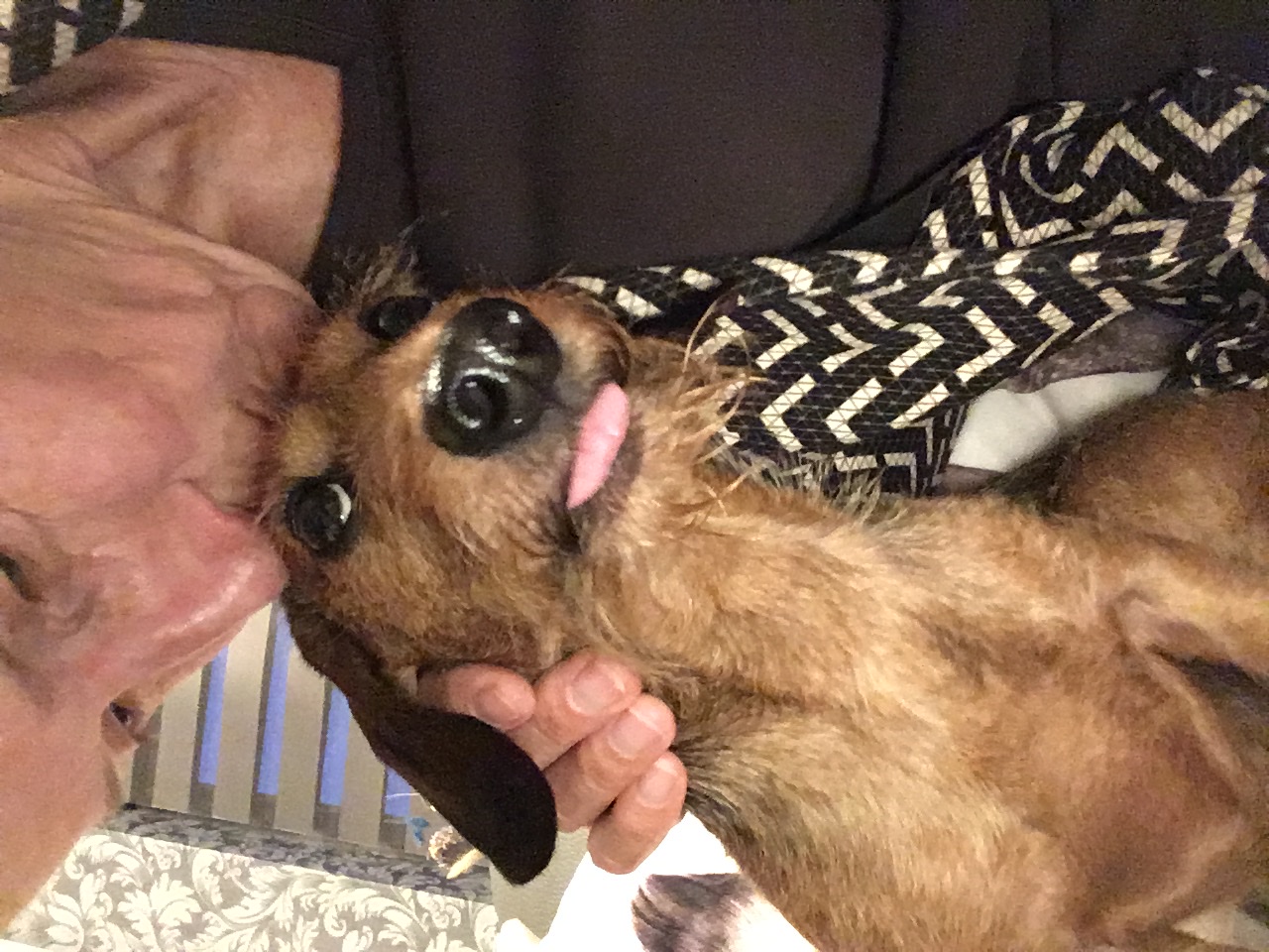 image-7