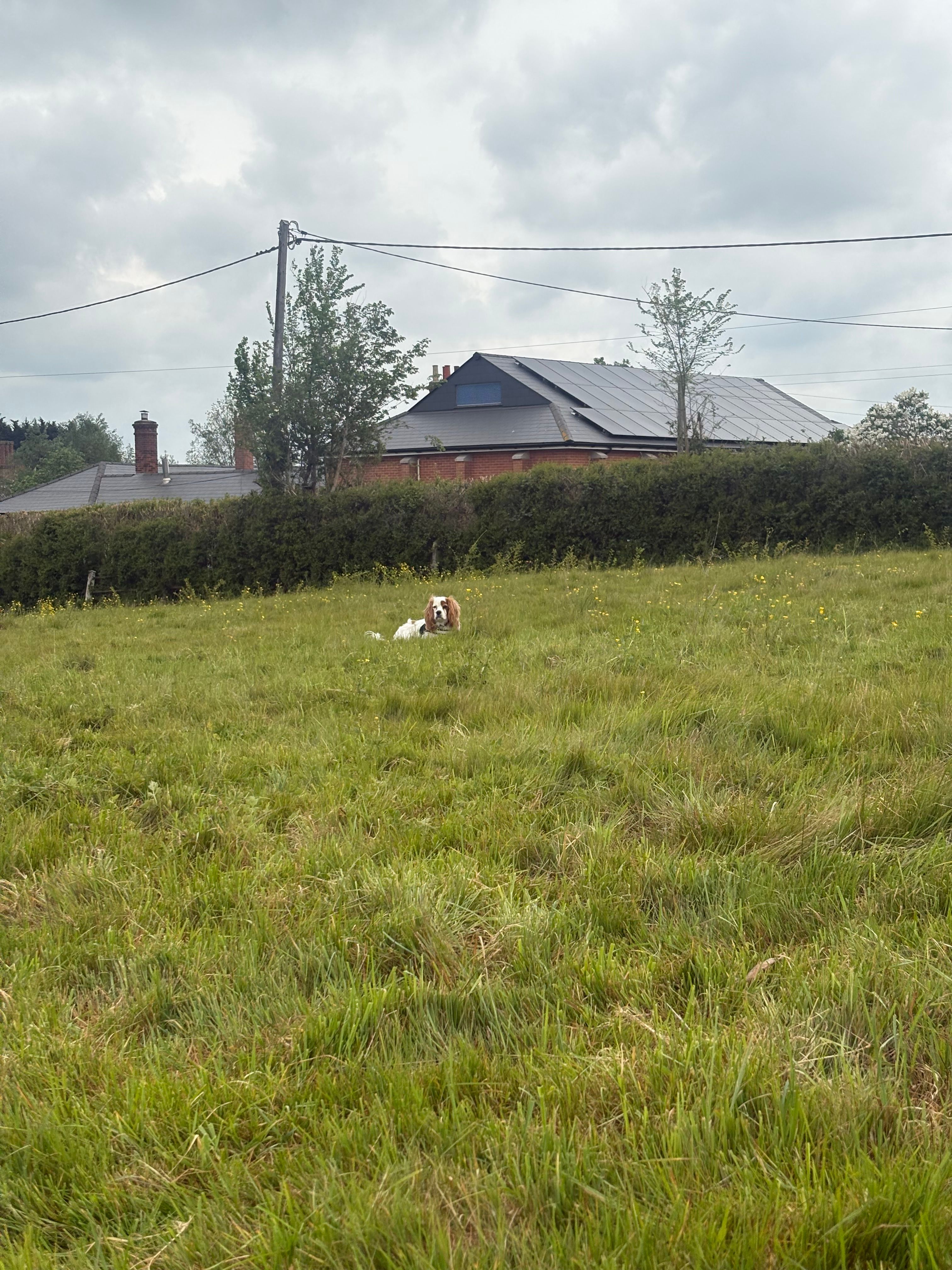 image-12