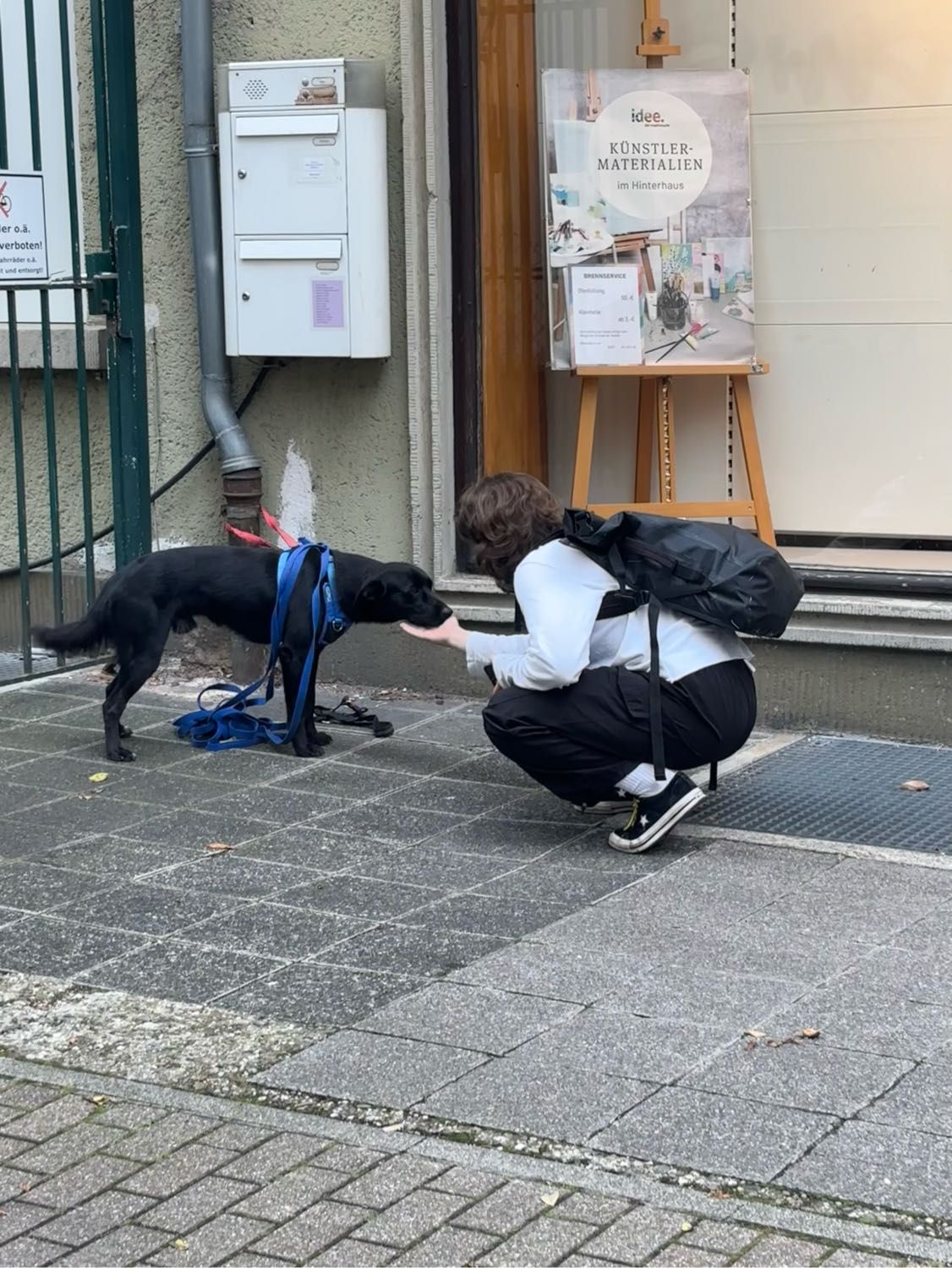 image-8