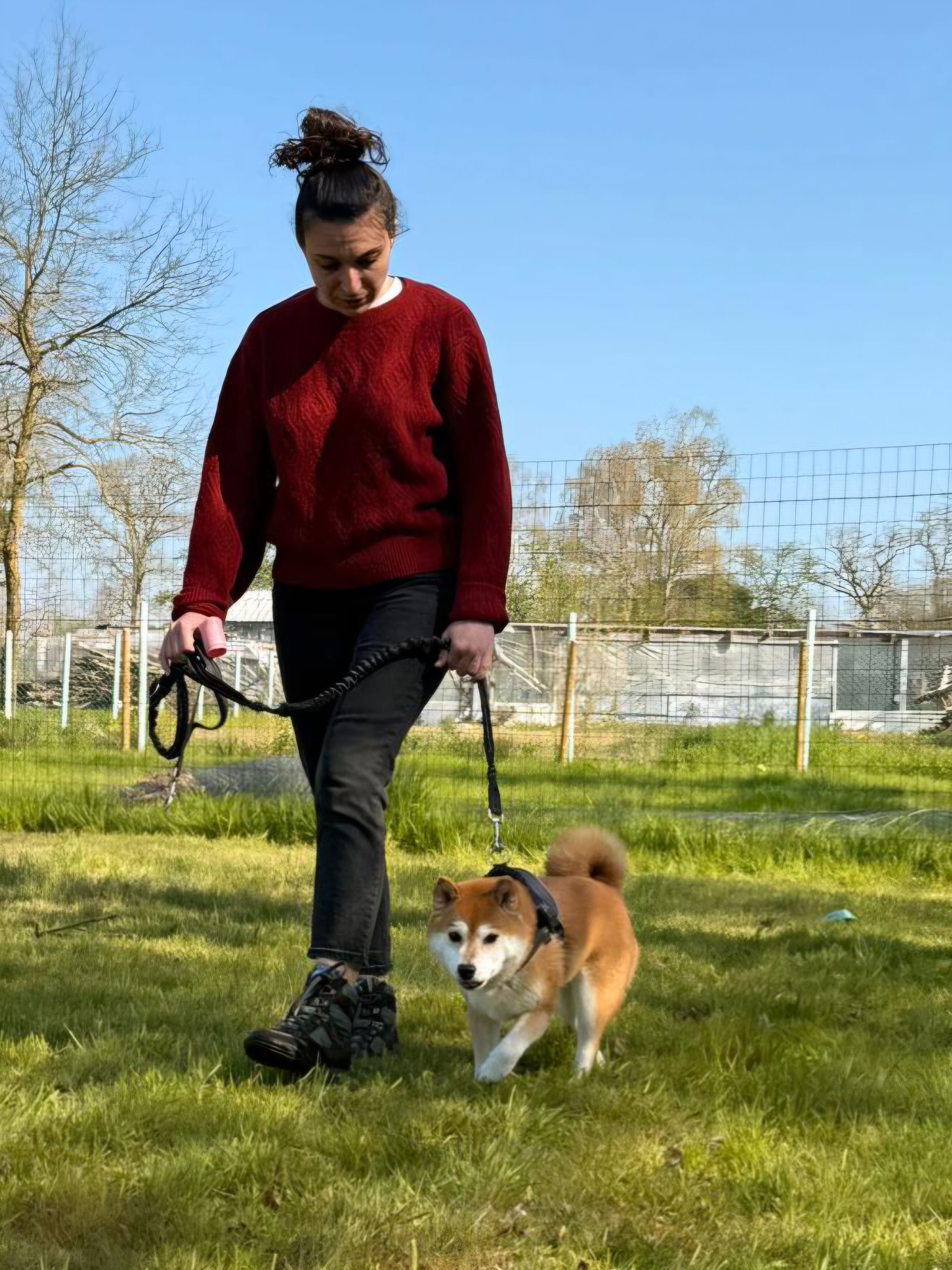 image-4