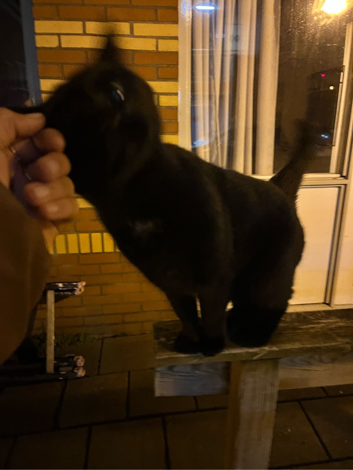image-6