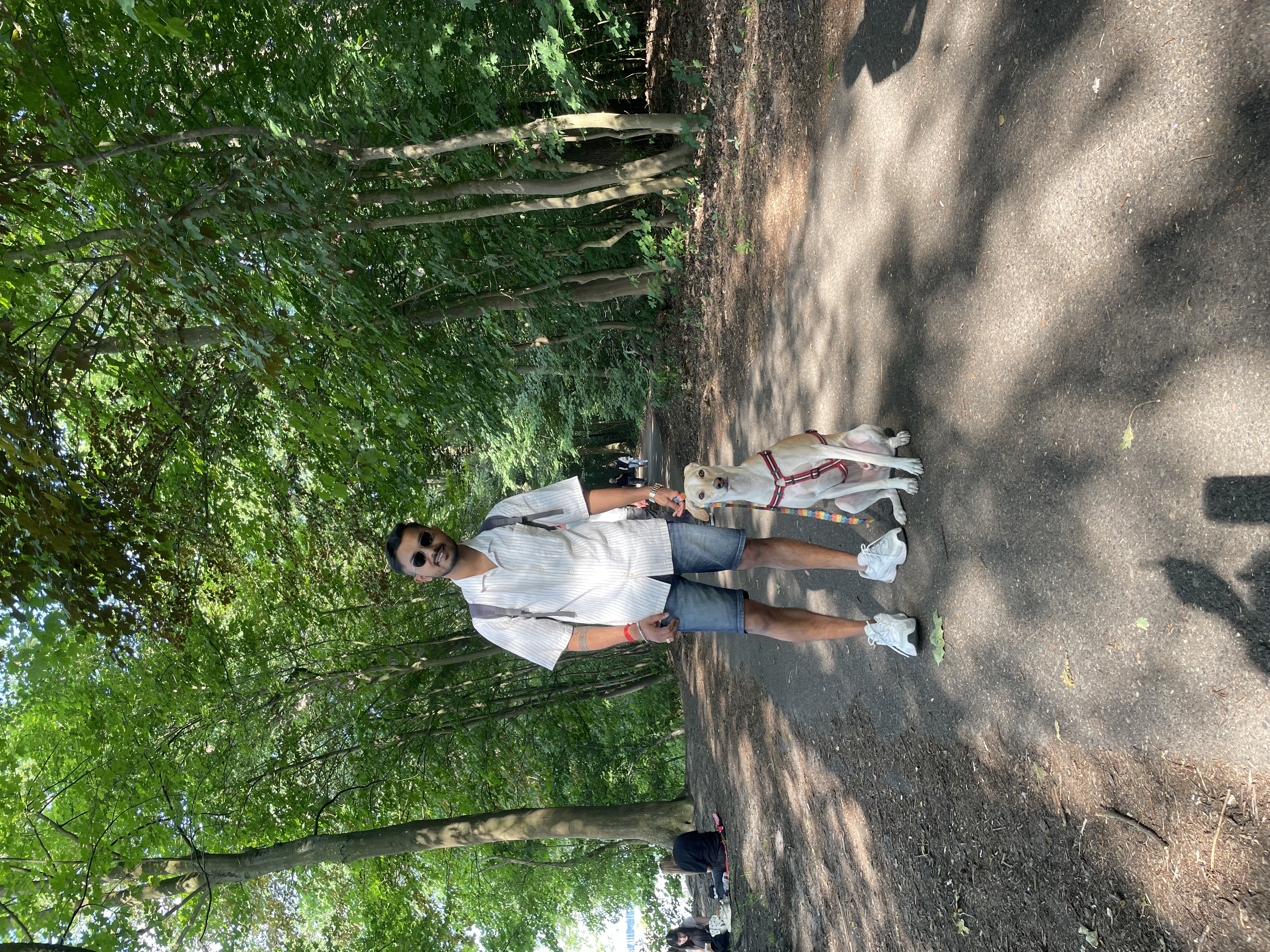 image-3