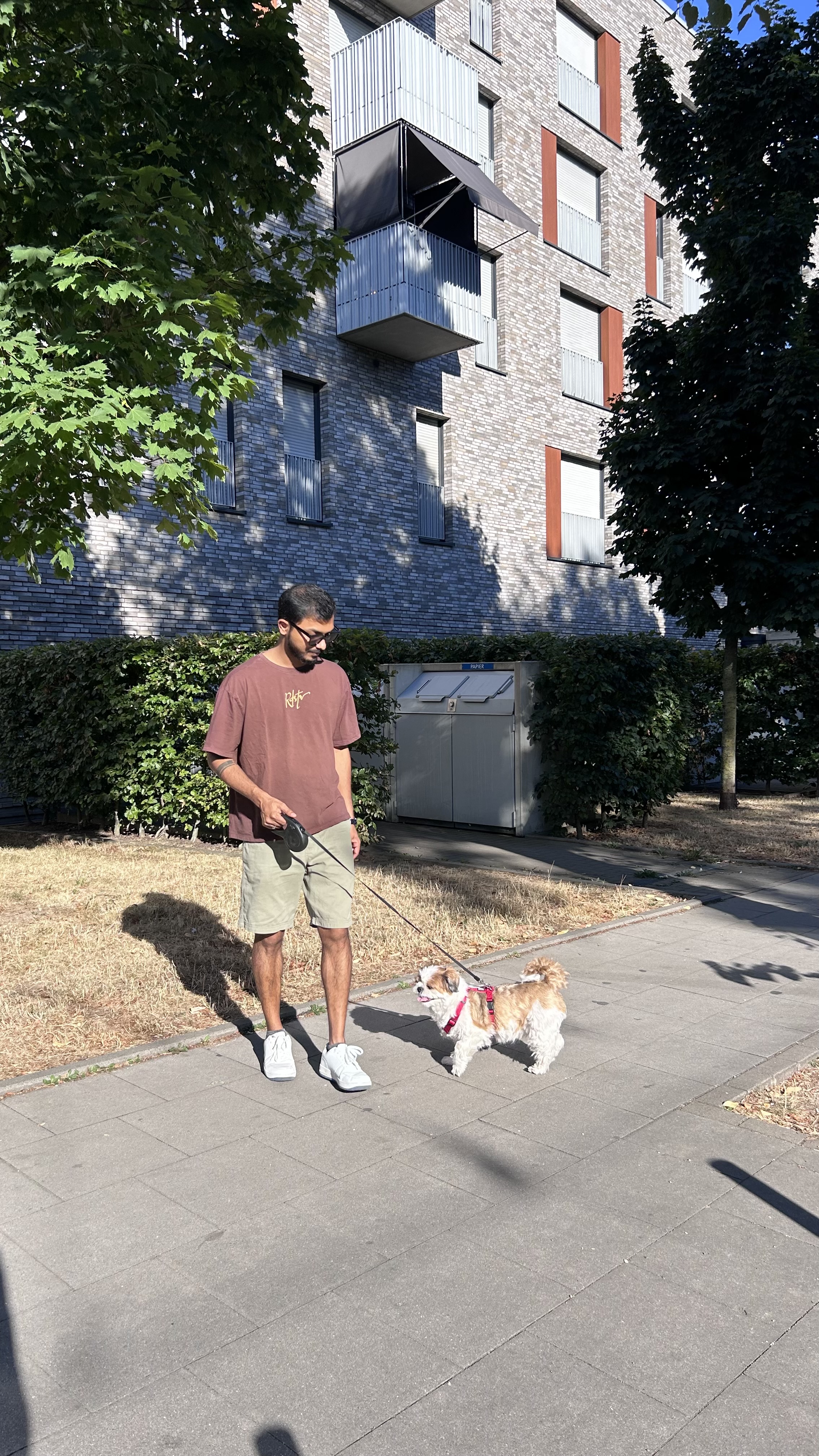 image-8