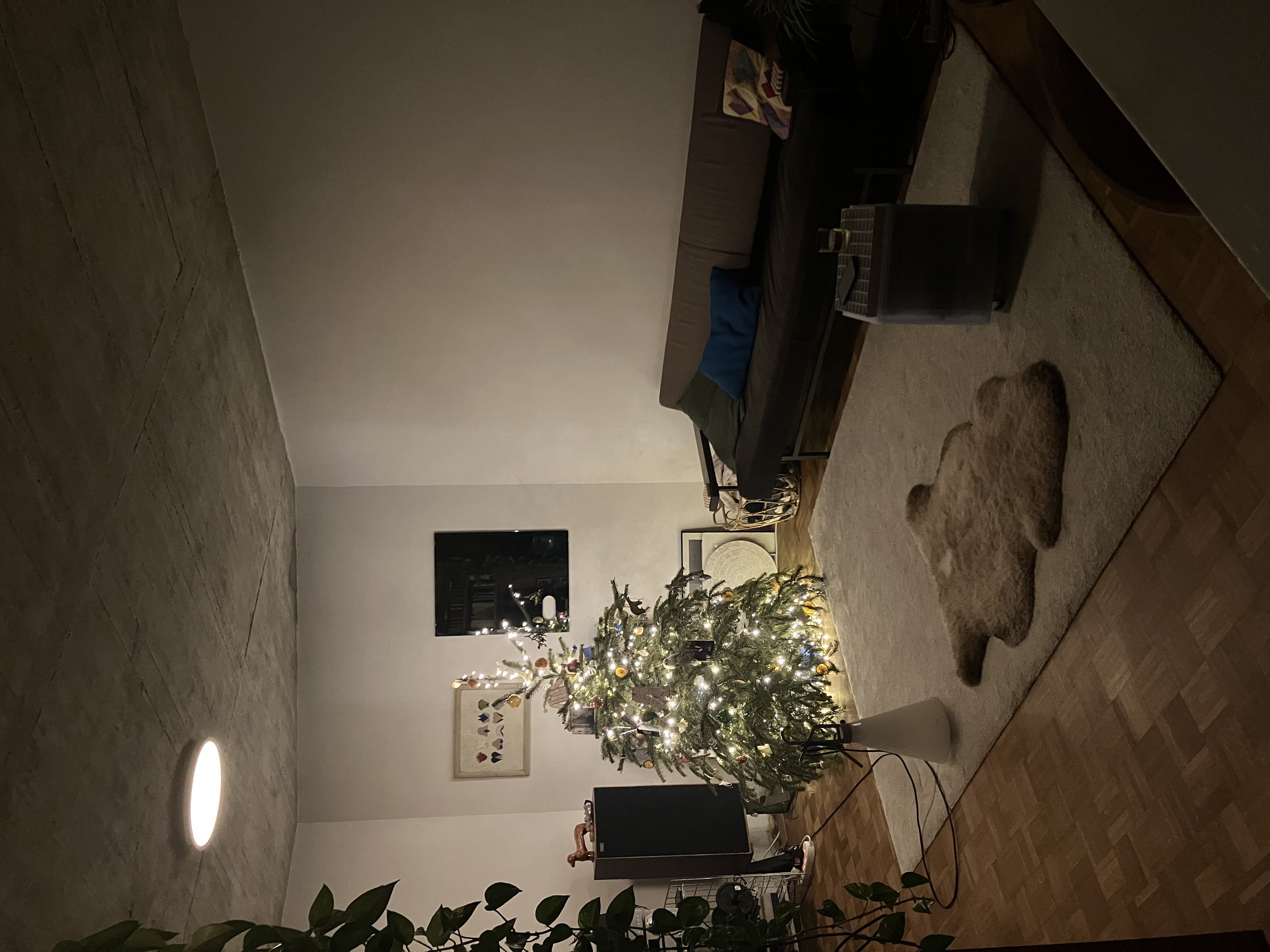 image-17