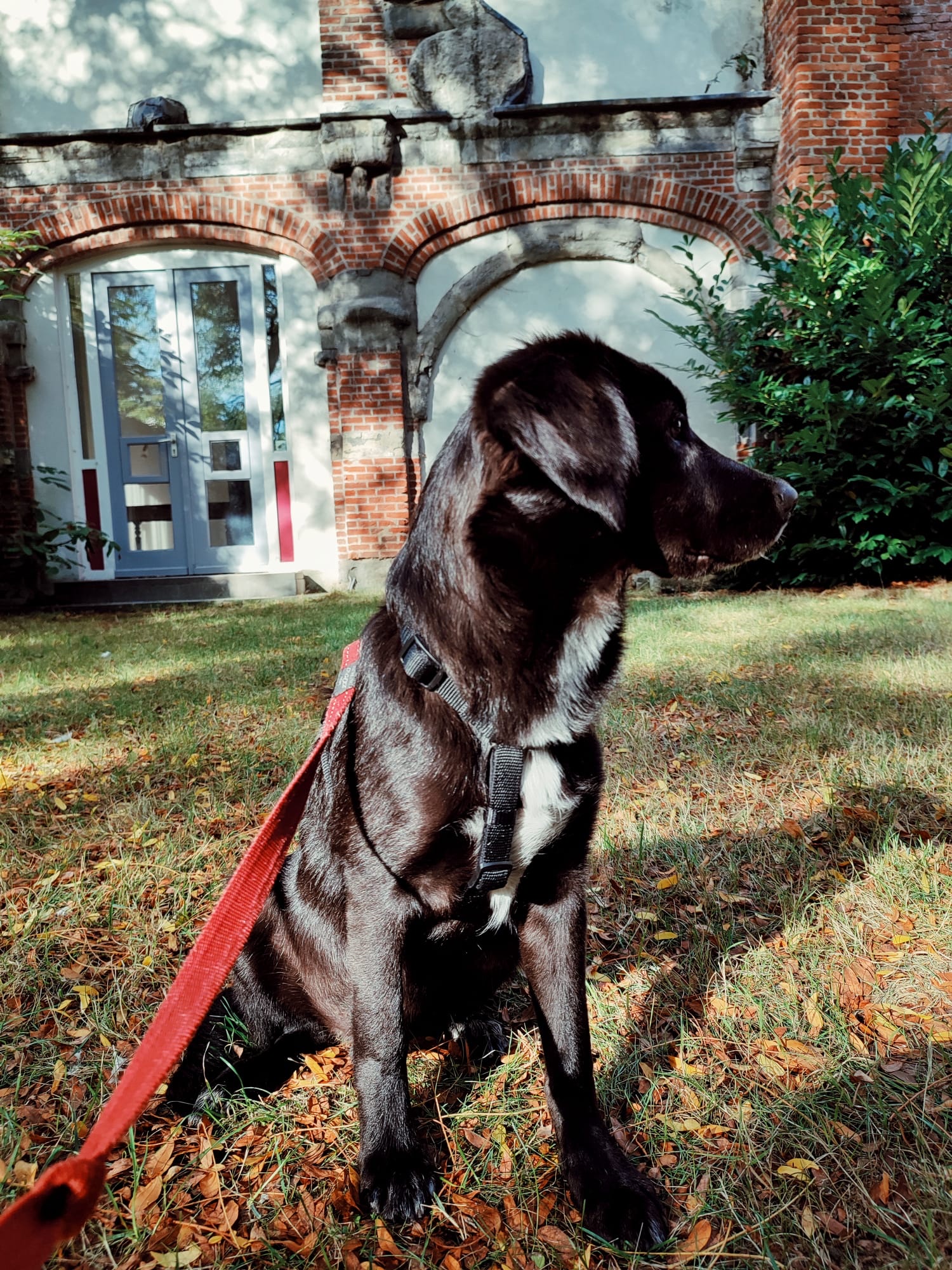 image-14