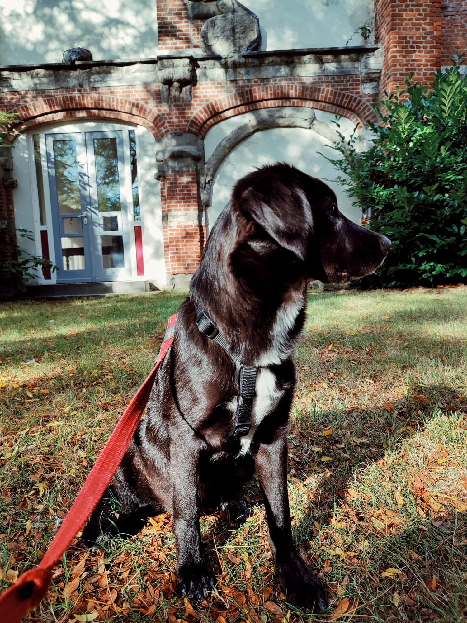 image-14