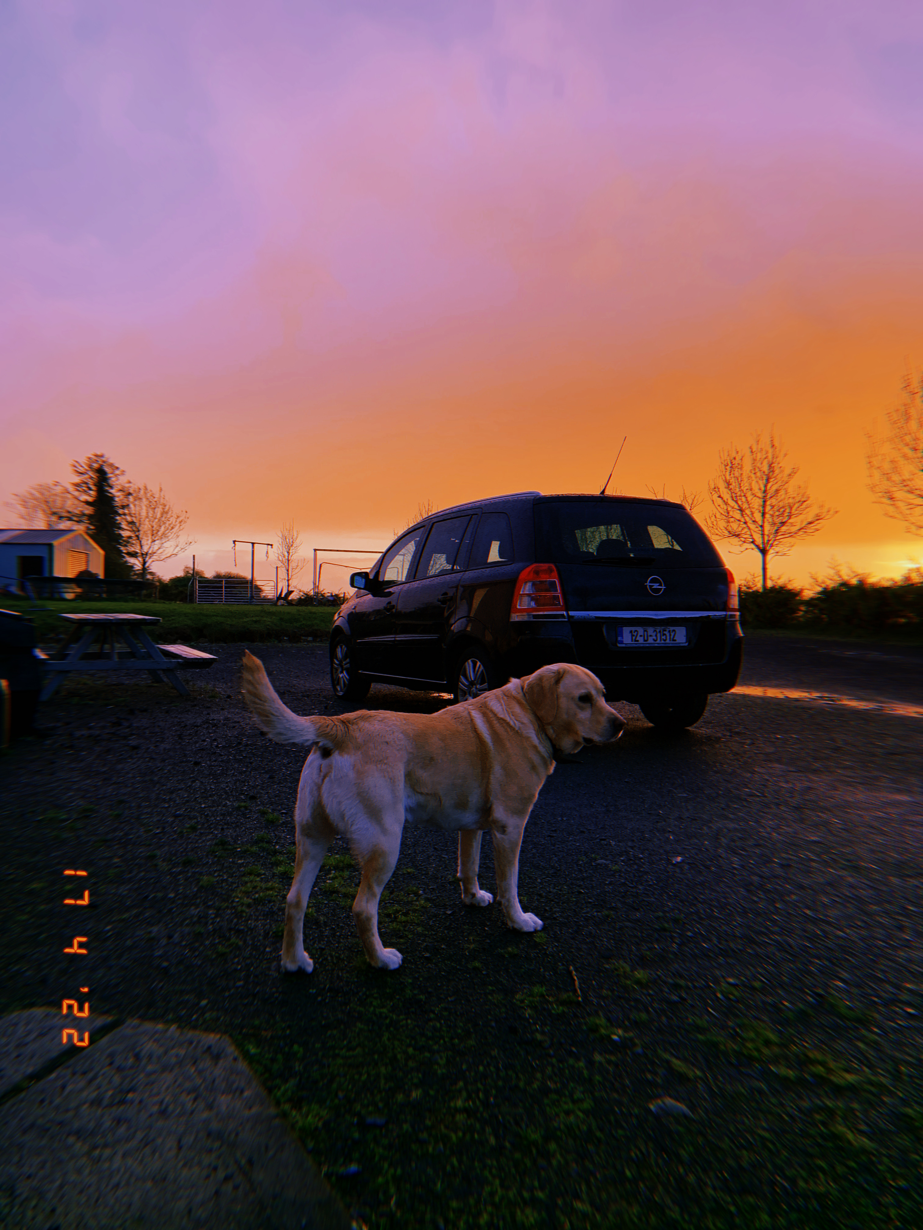 image-2