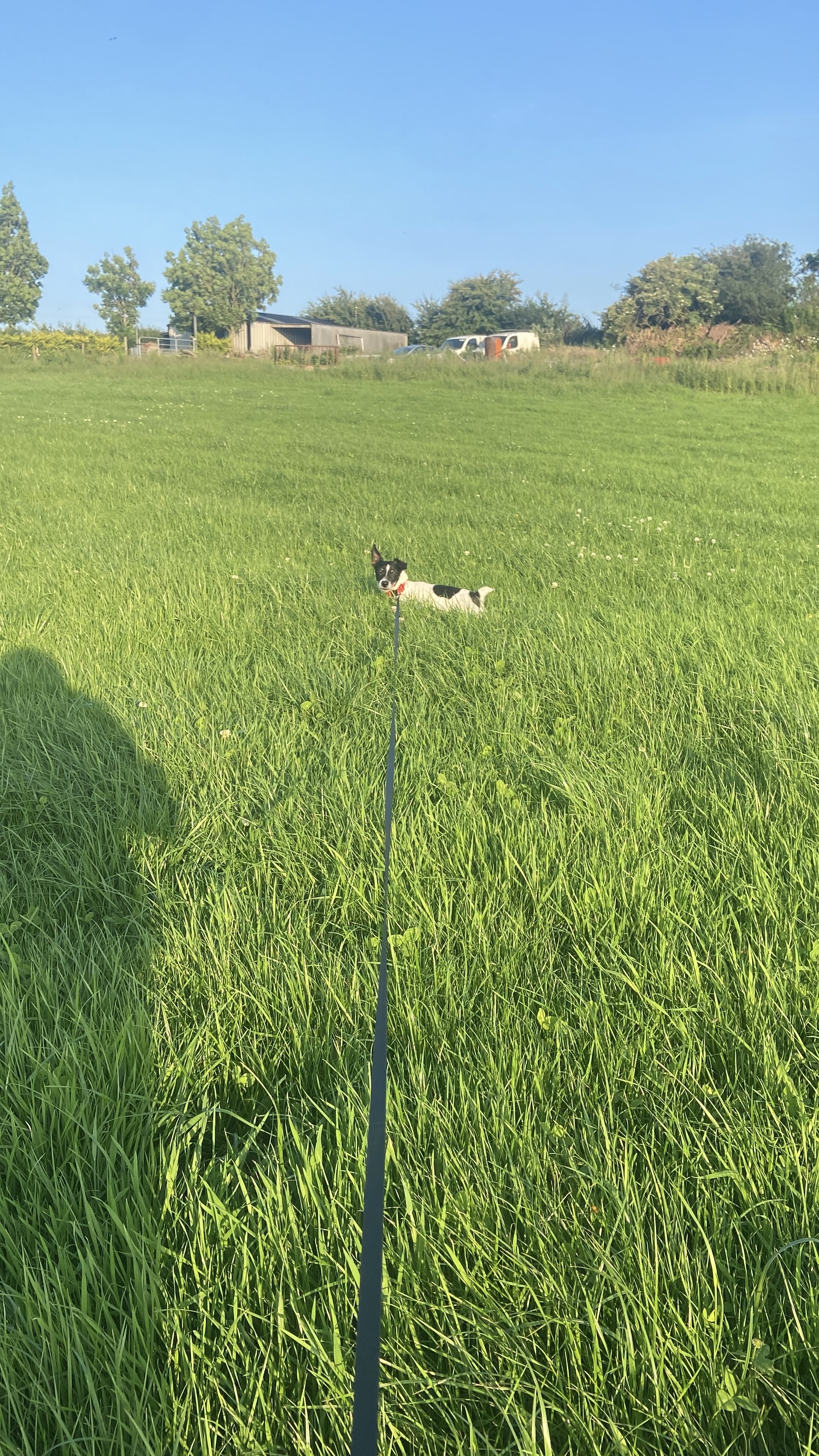 image-14
