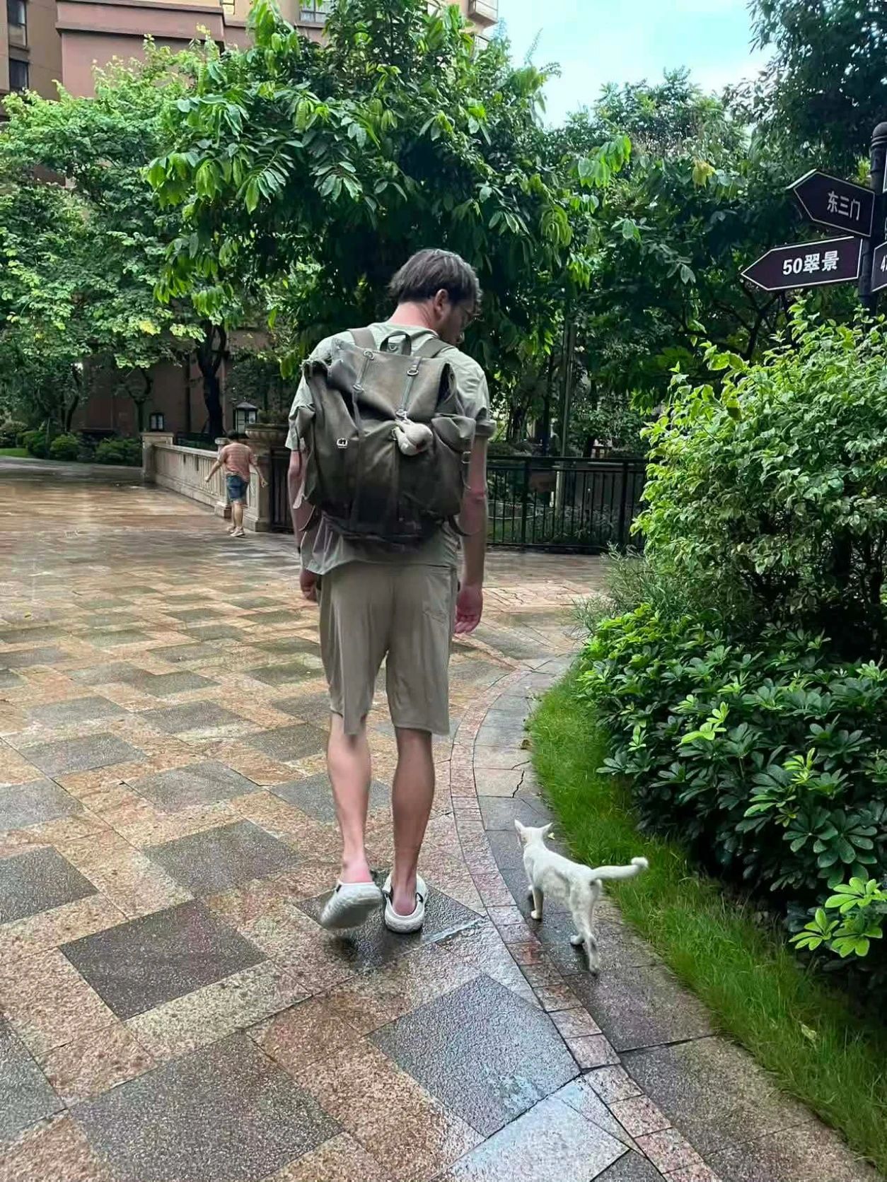 image-0