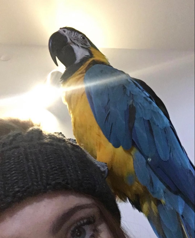 image-7