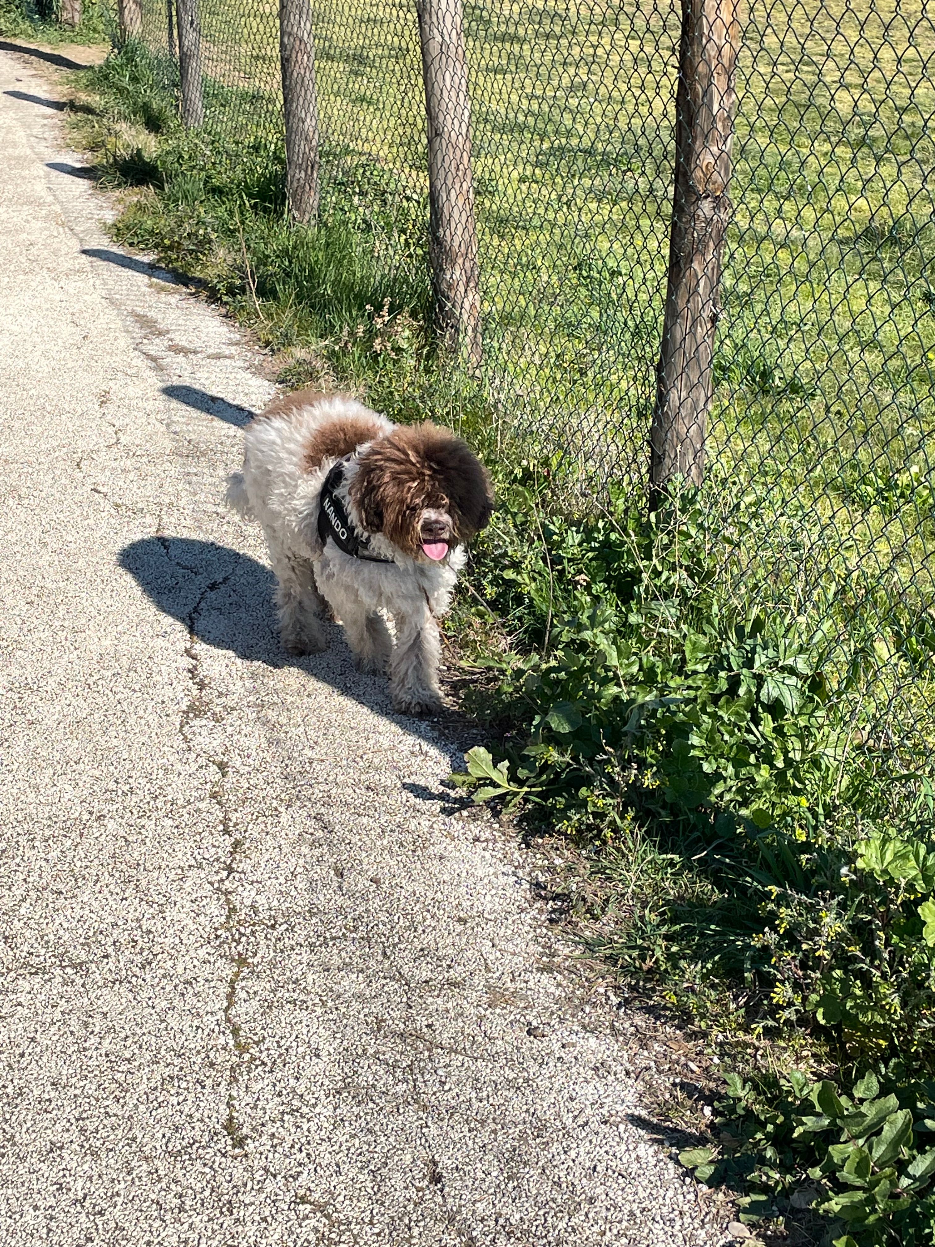 image-7