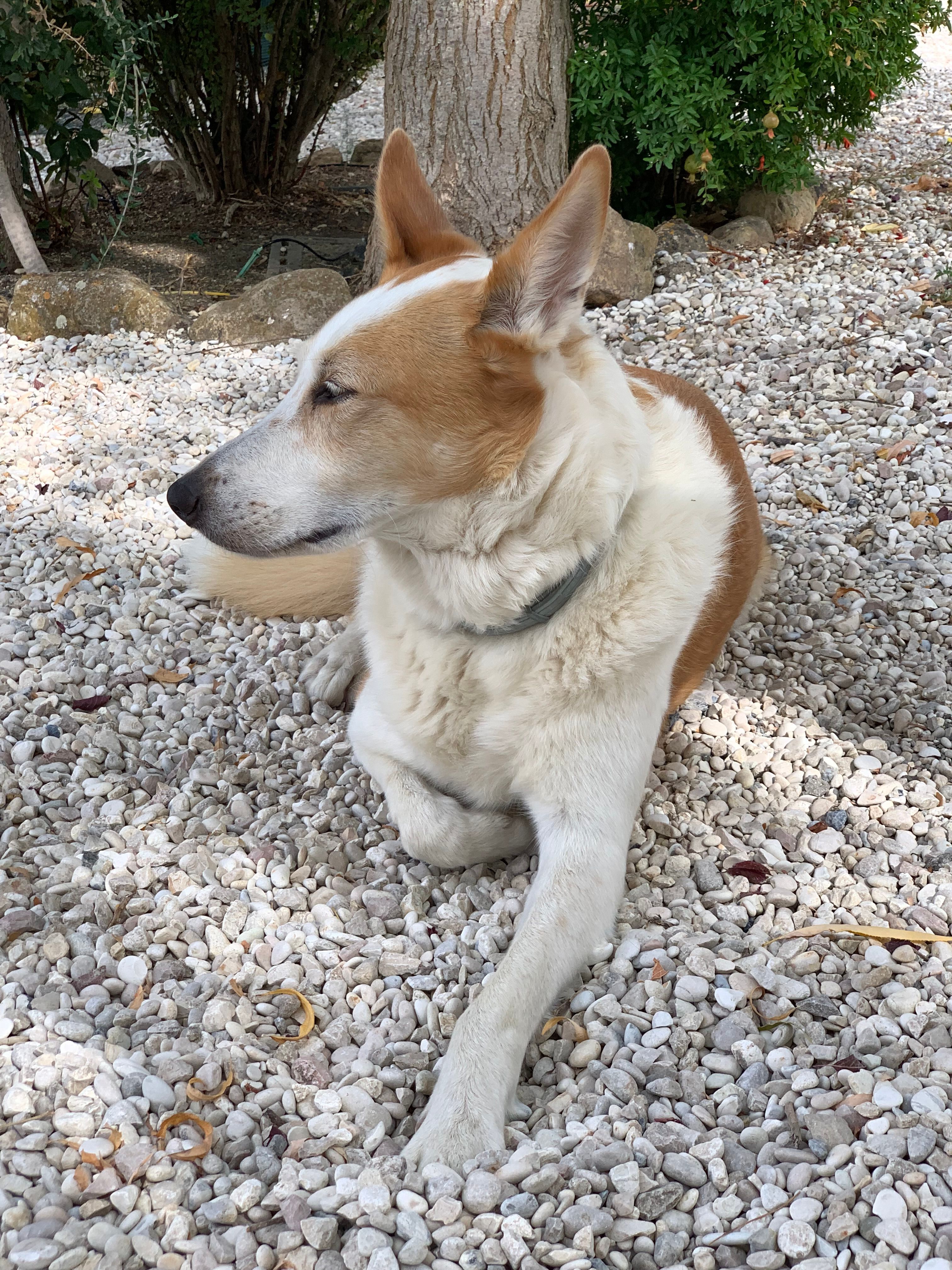 image-9