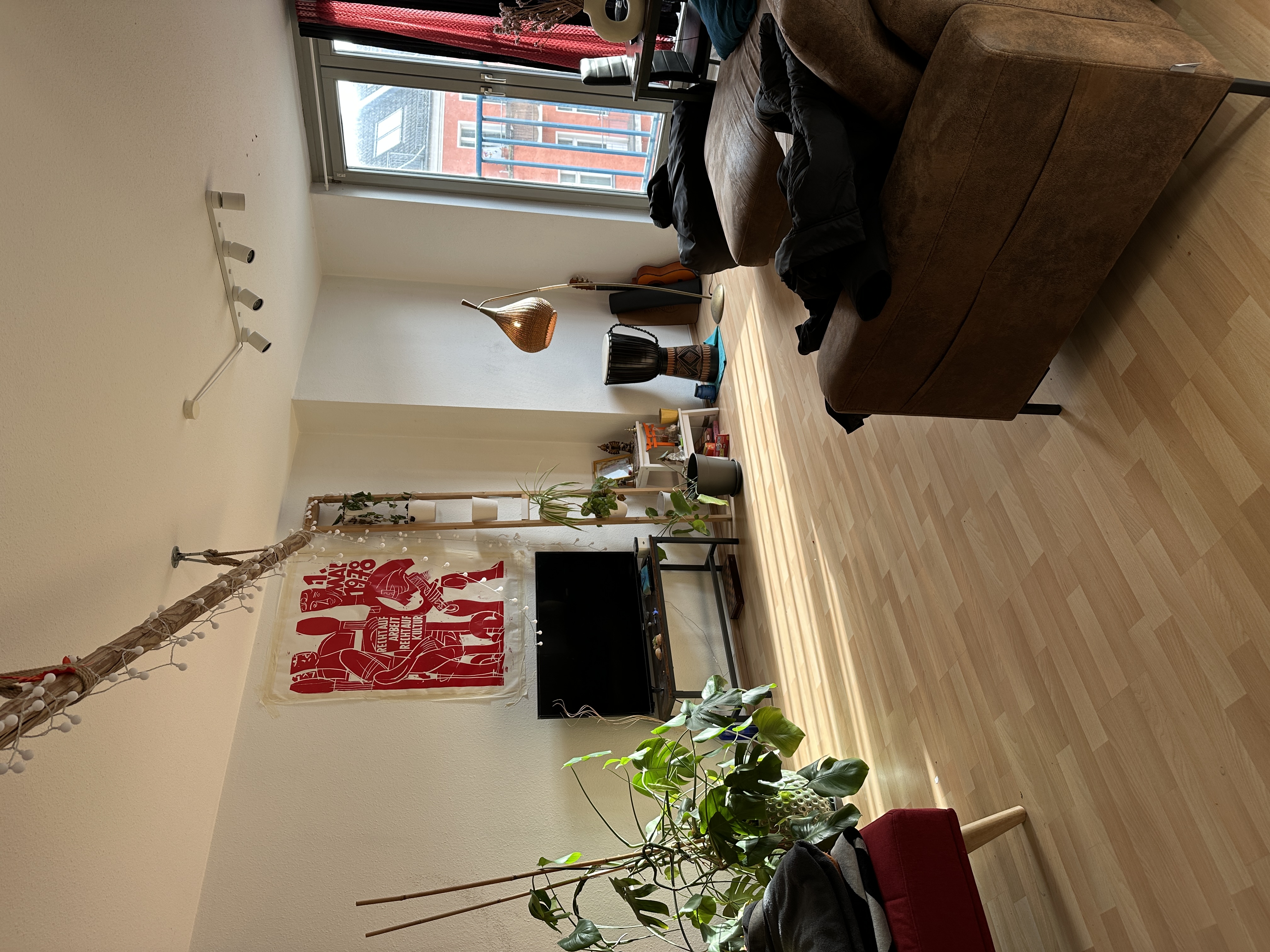 image-19