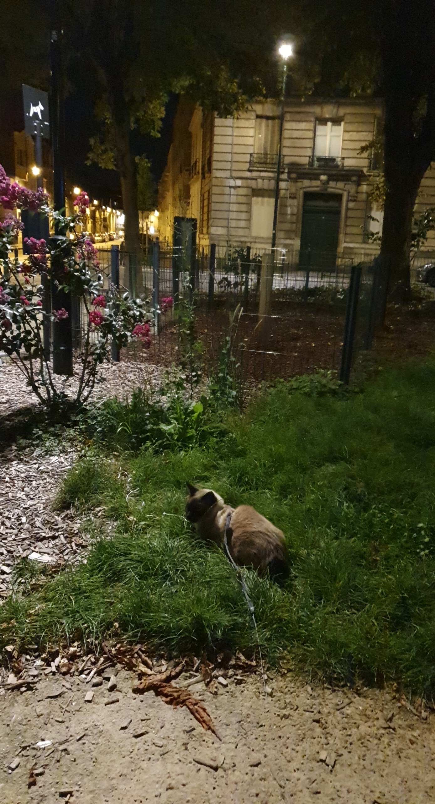 image-14