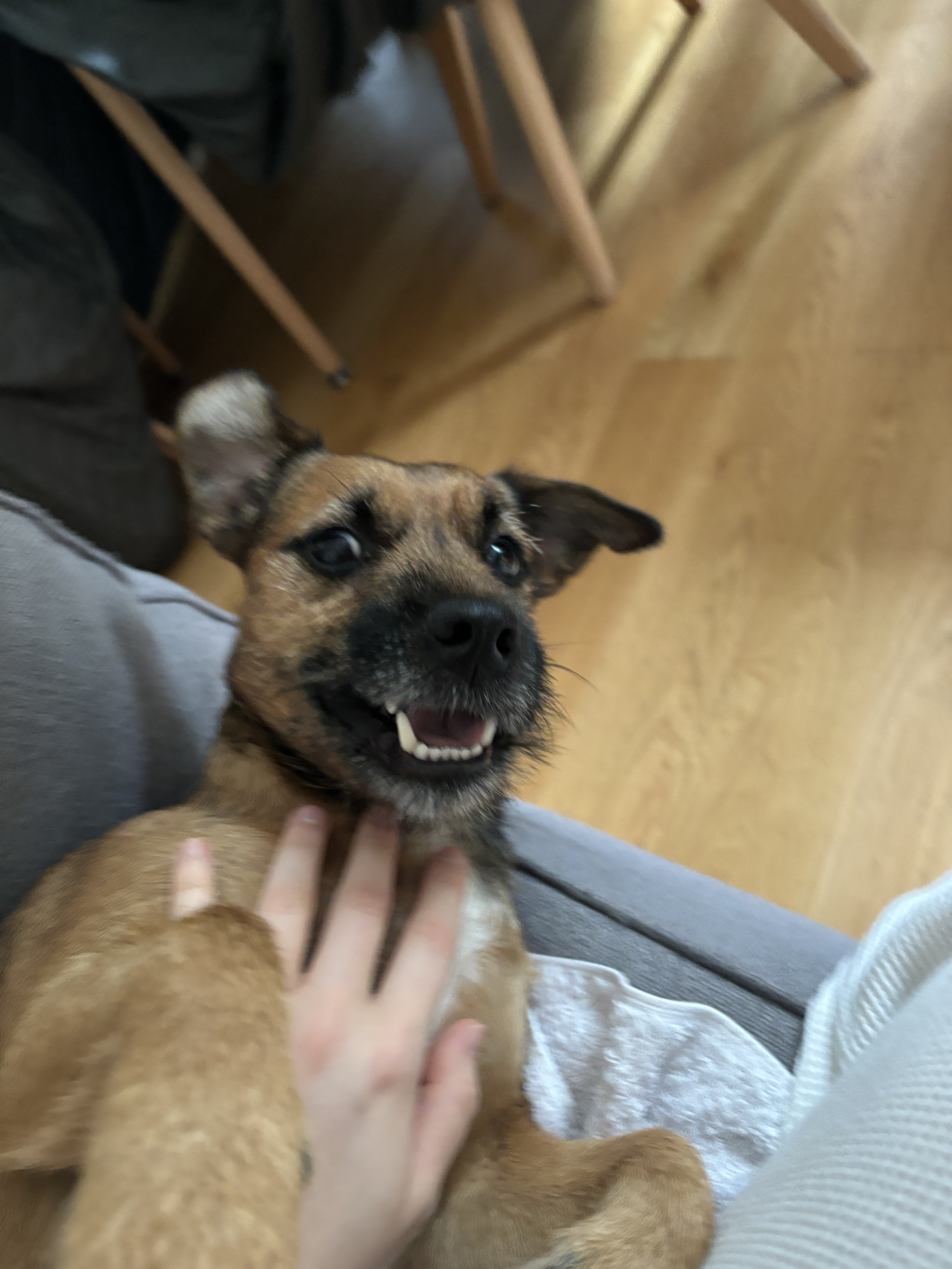 image-6