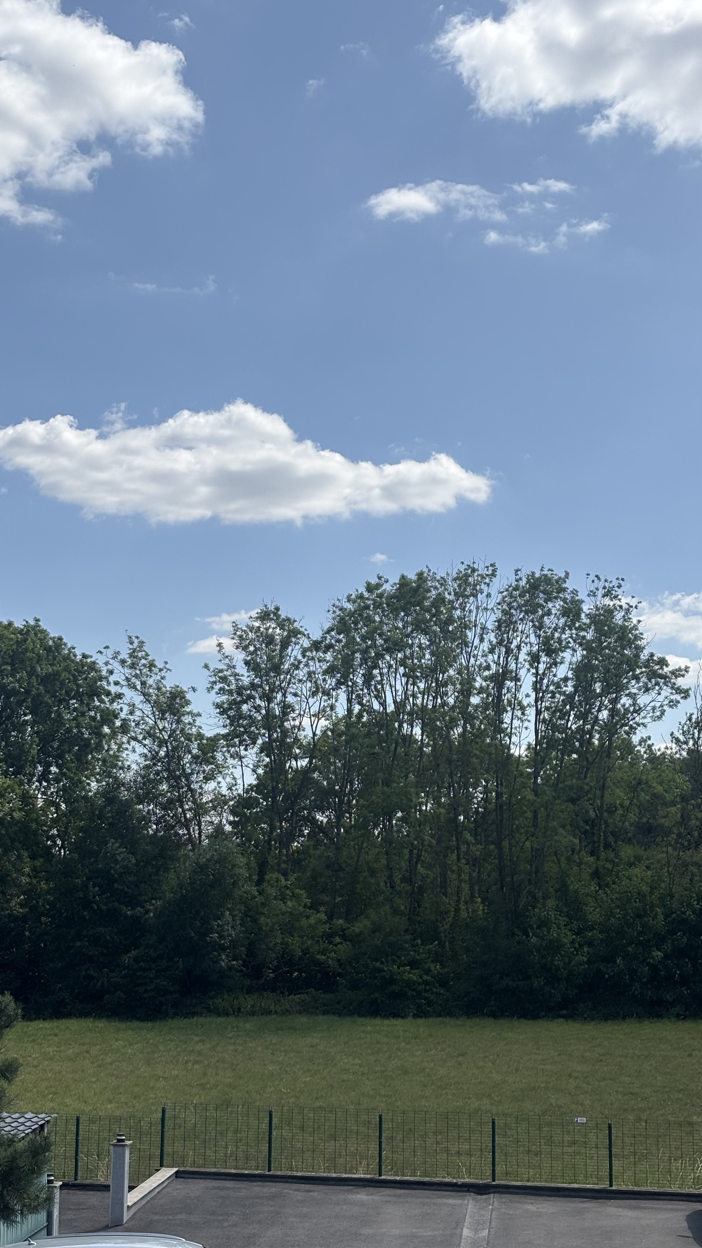 image-20