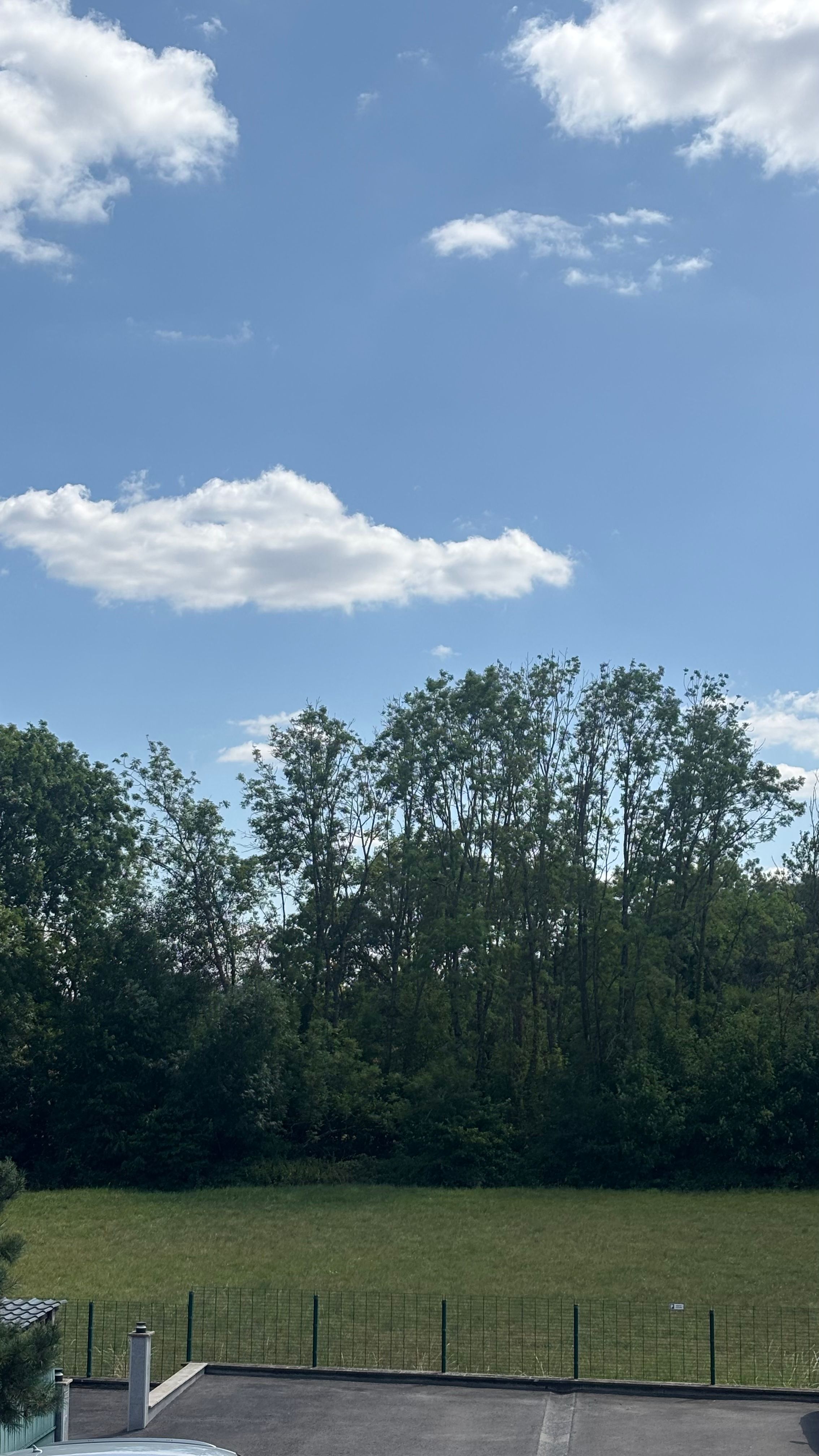 image-20