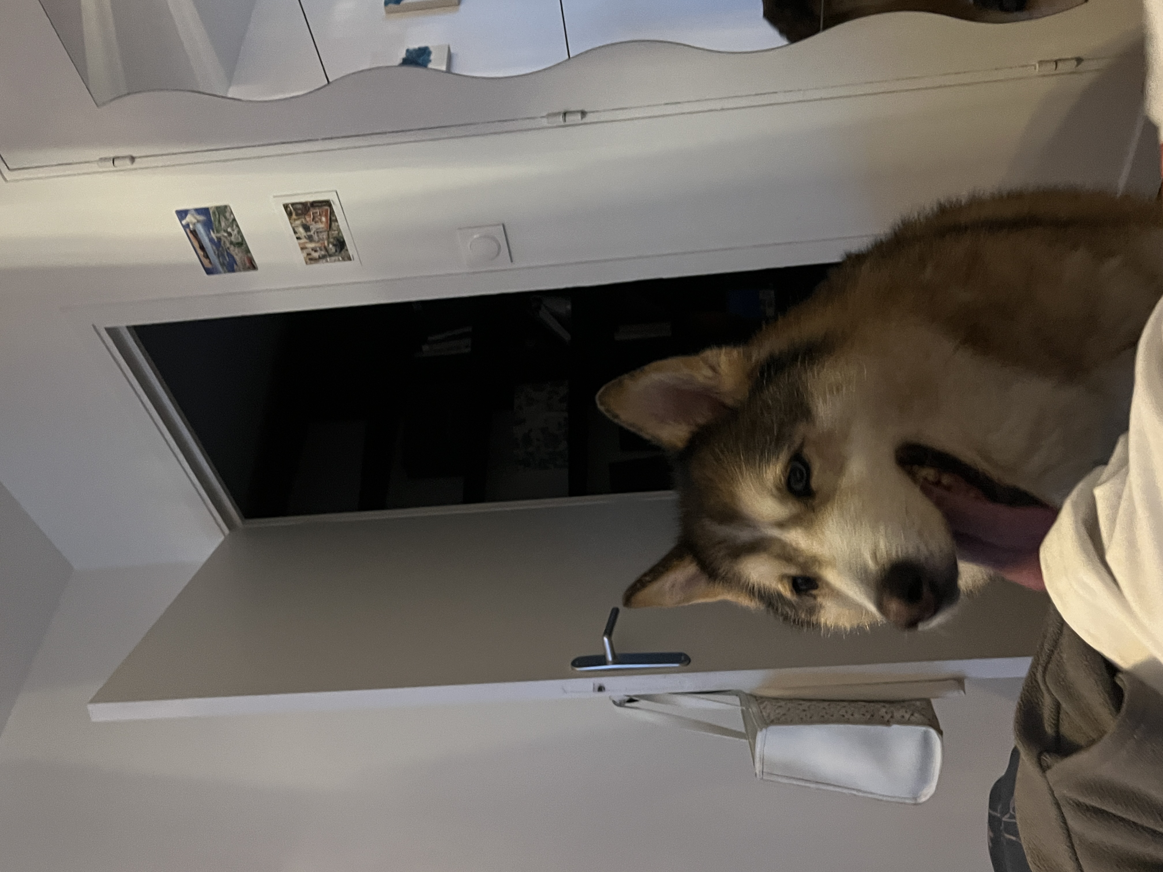 image-10