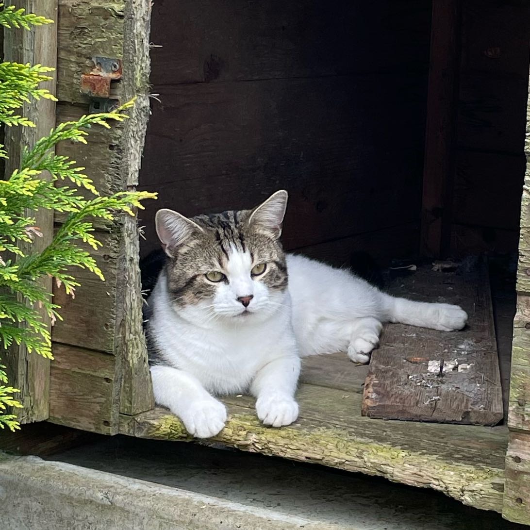 Sunny Boo Criminalakis