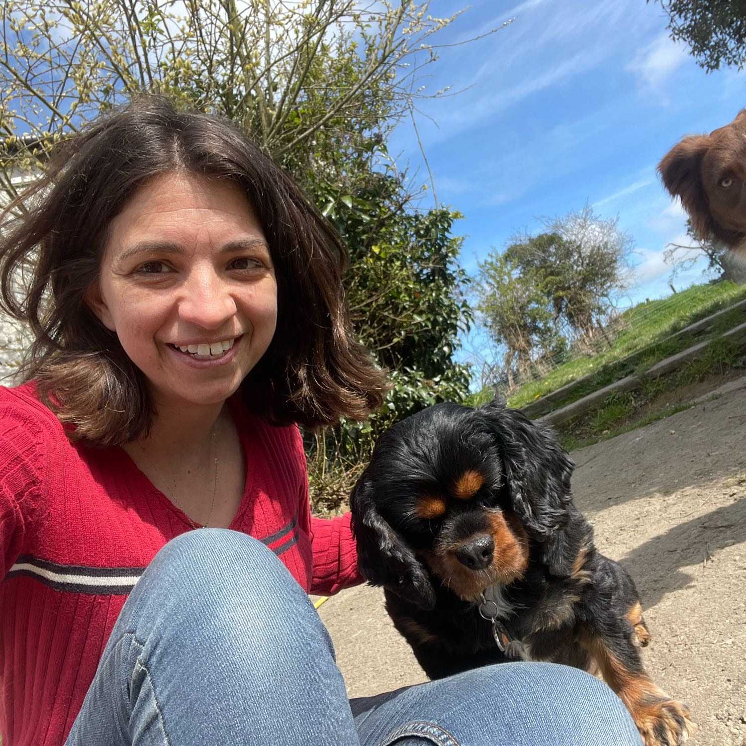 STYLIANI Pet sitter in Ringsend - Main Image