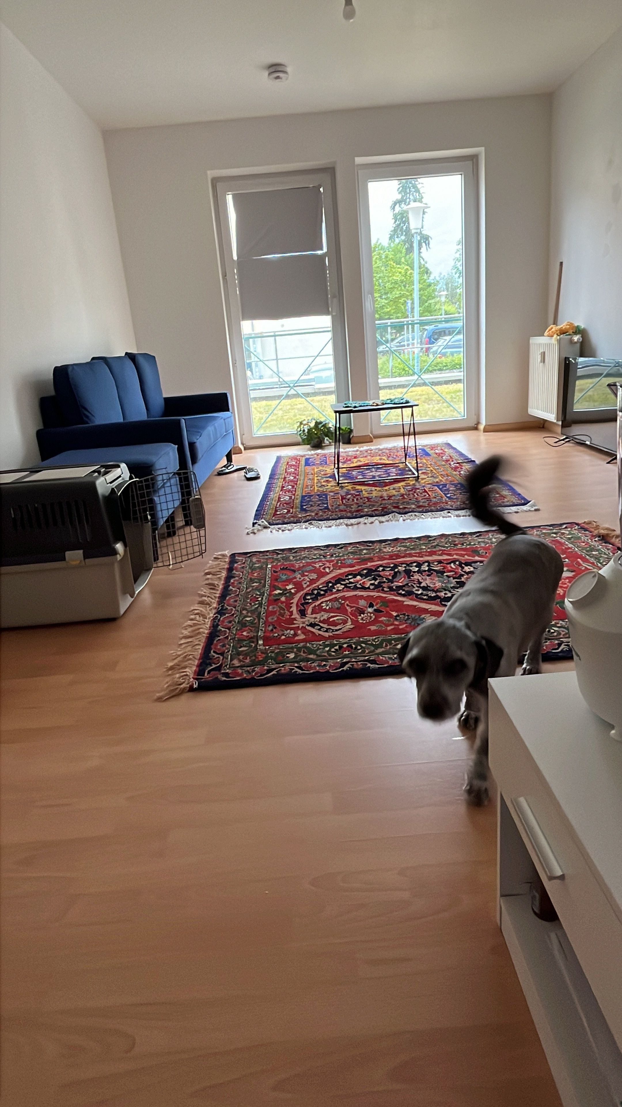 image-9