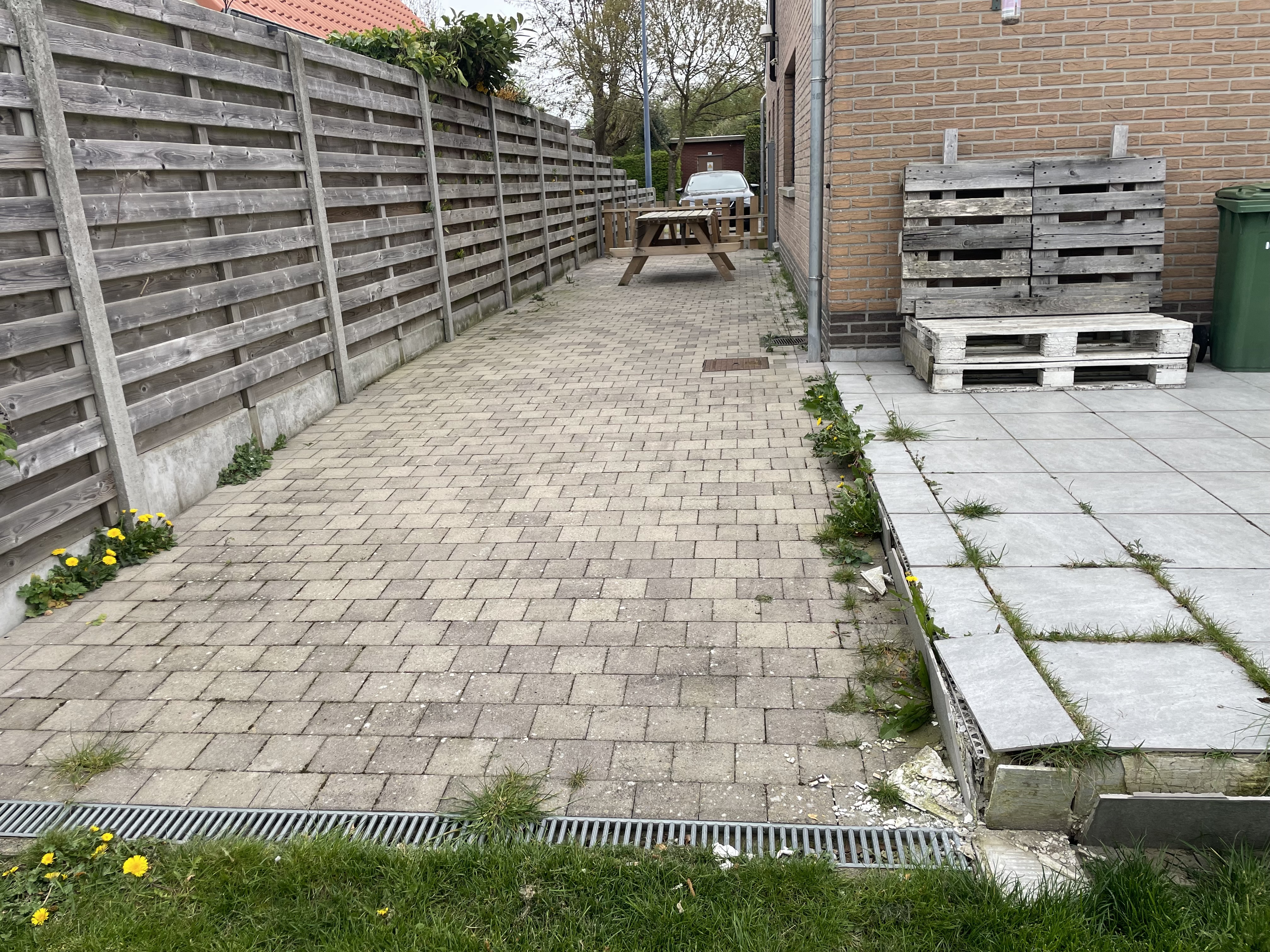 image-24