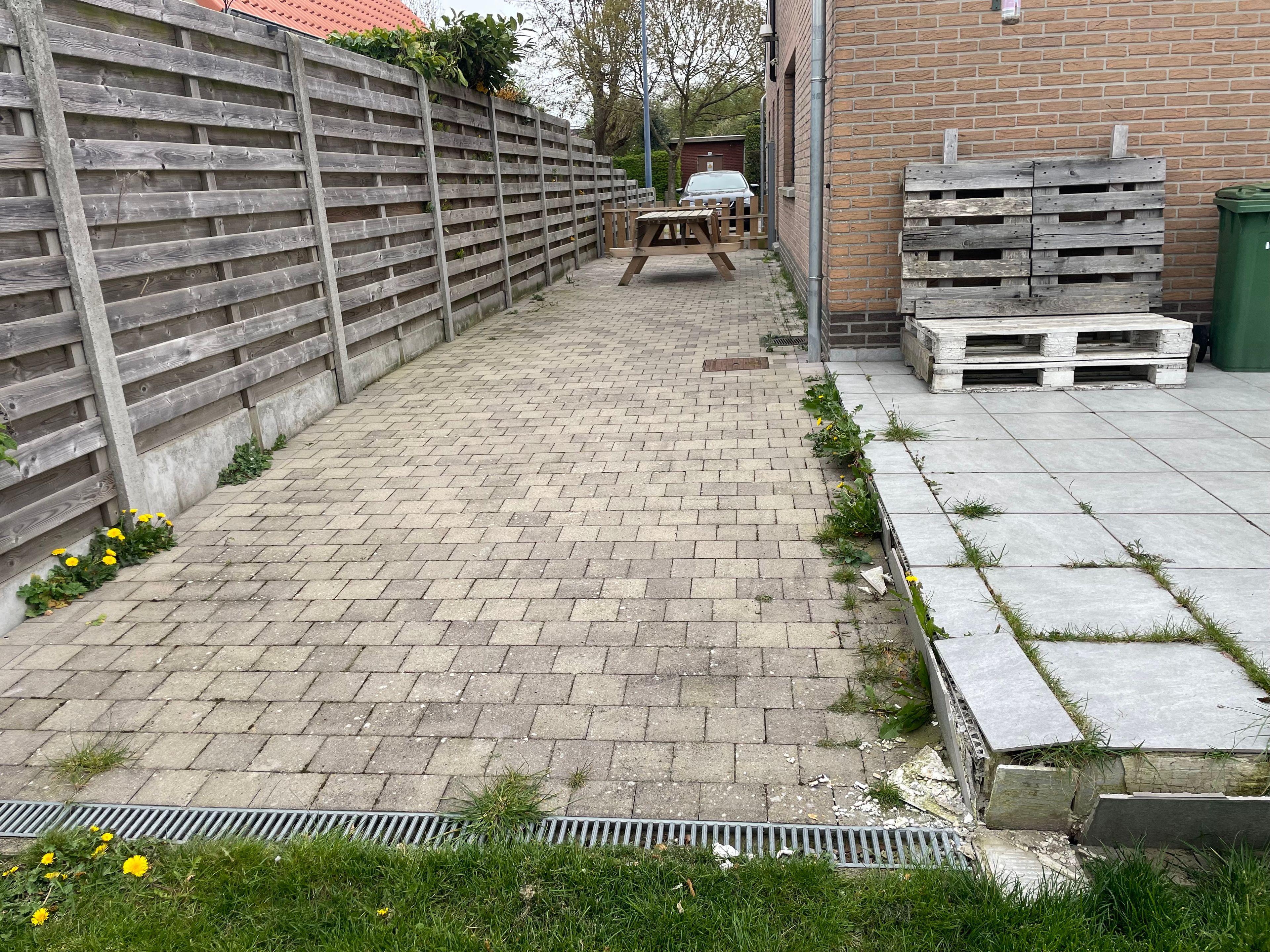 image-24