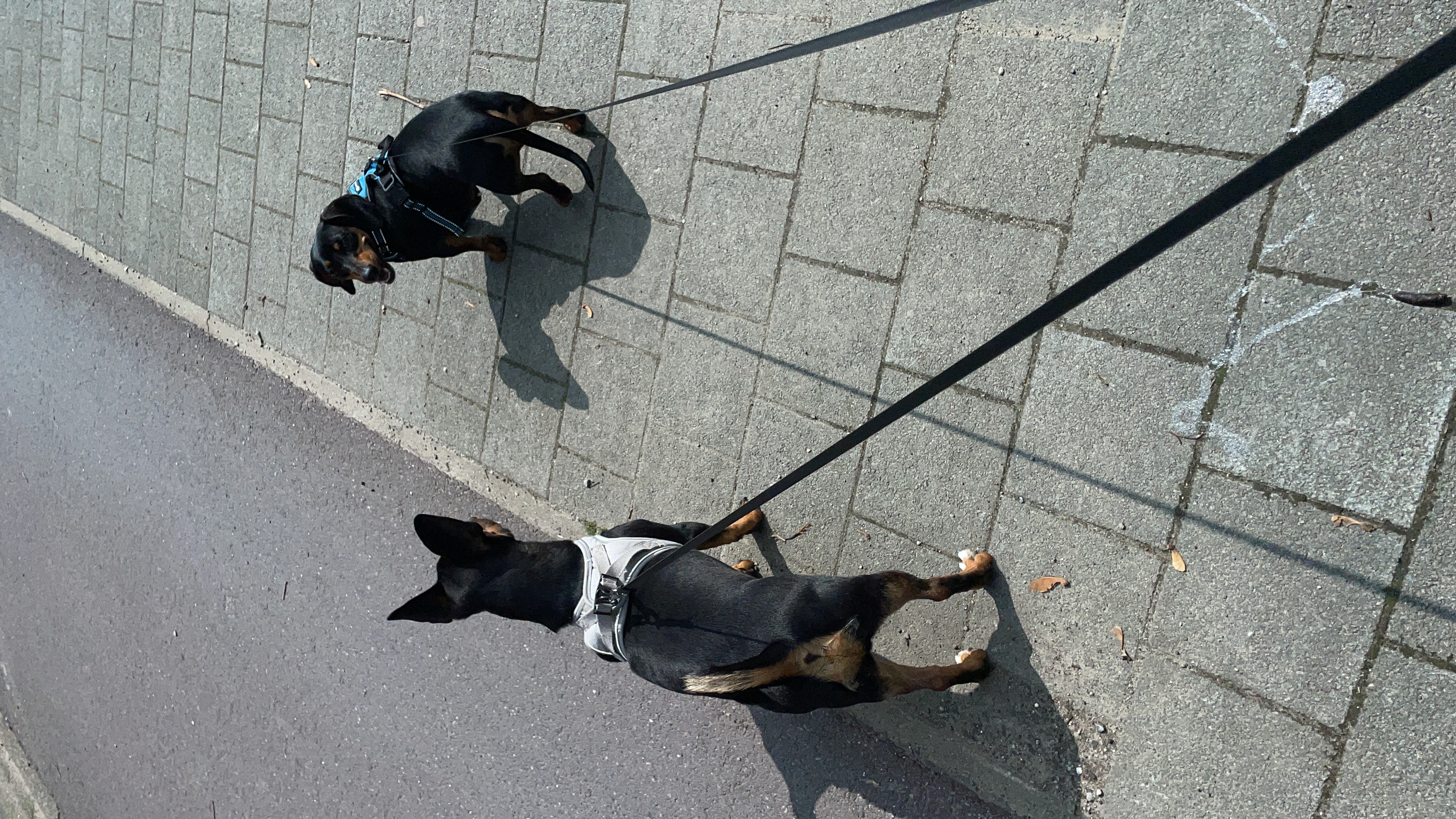 image-11