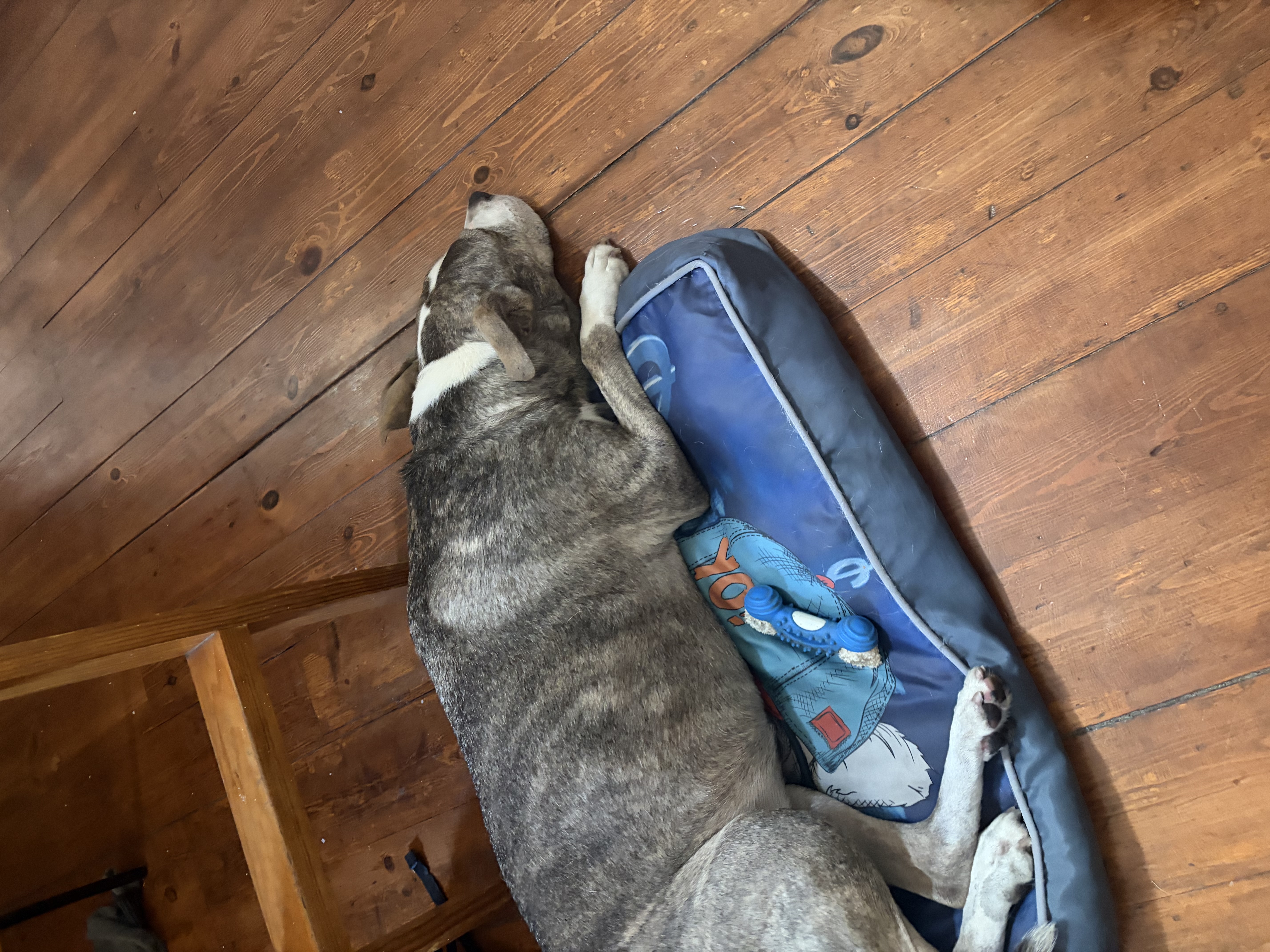 image-5