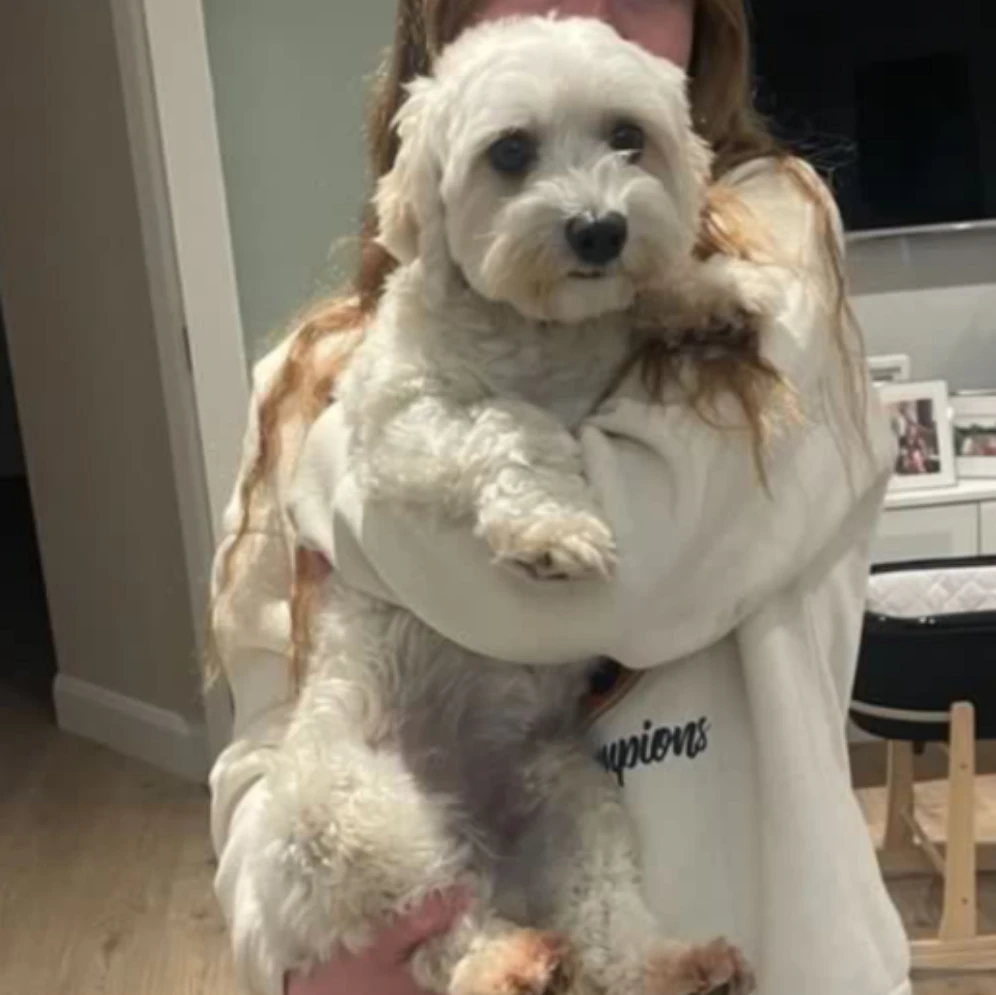 Benji 