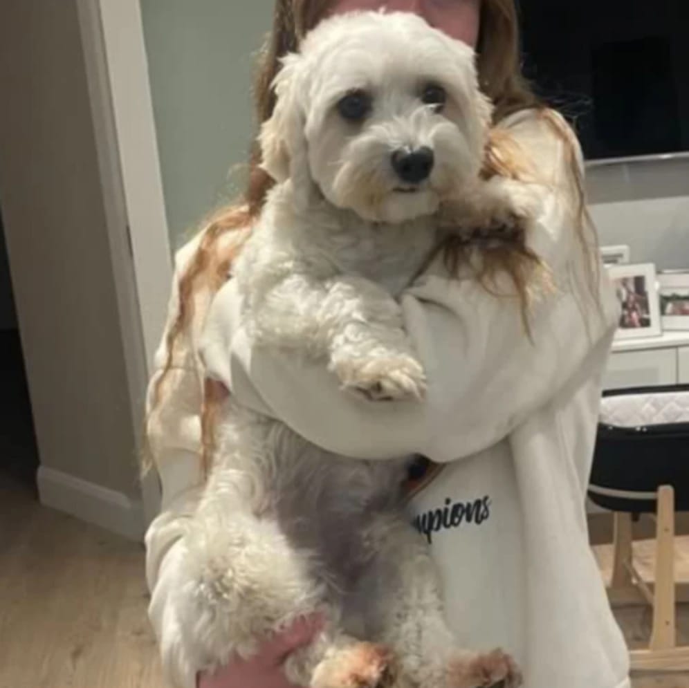 Benji