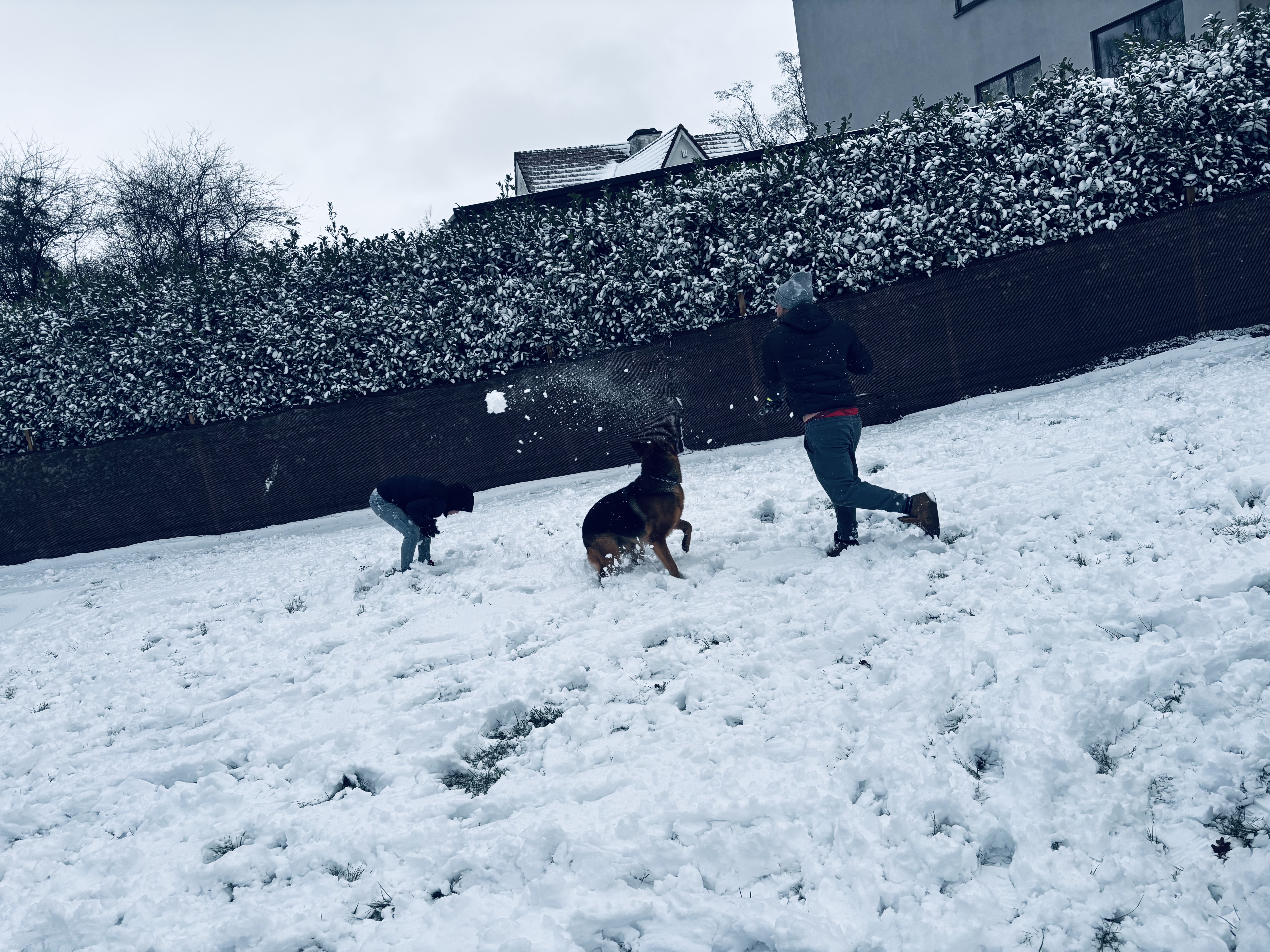 image-20