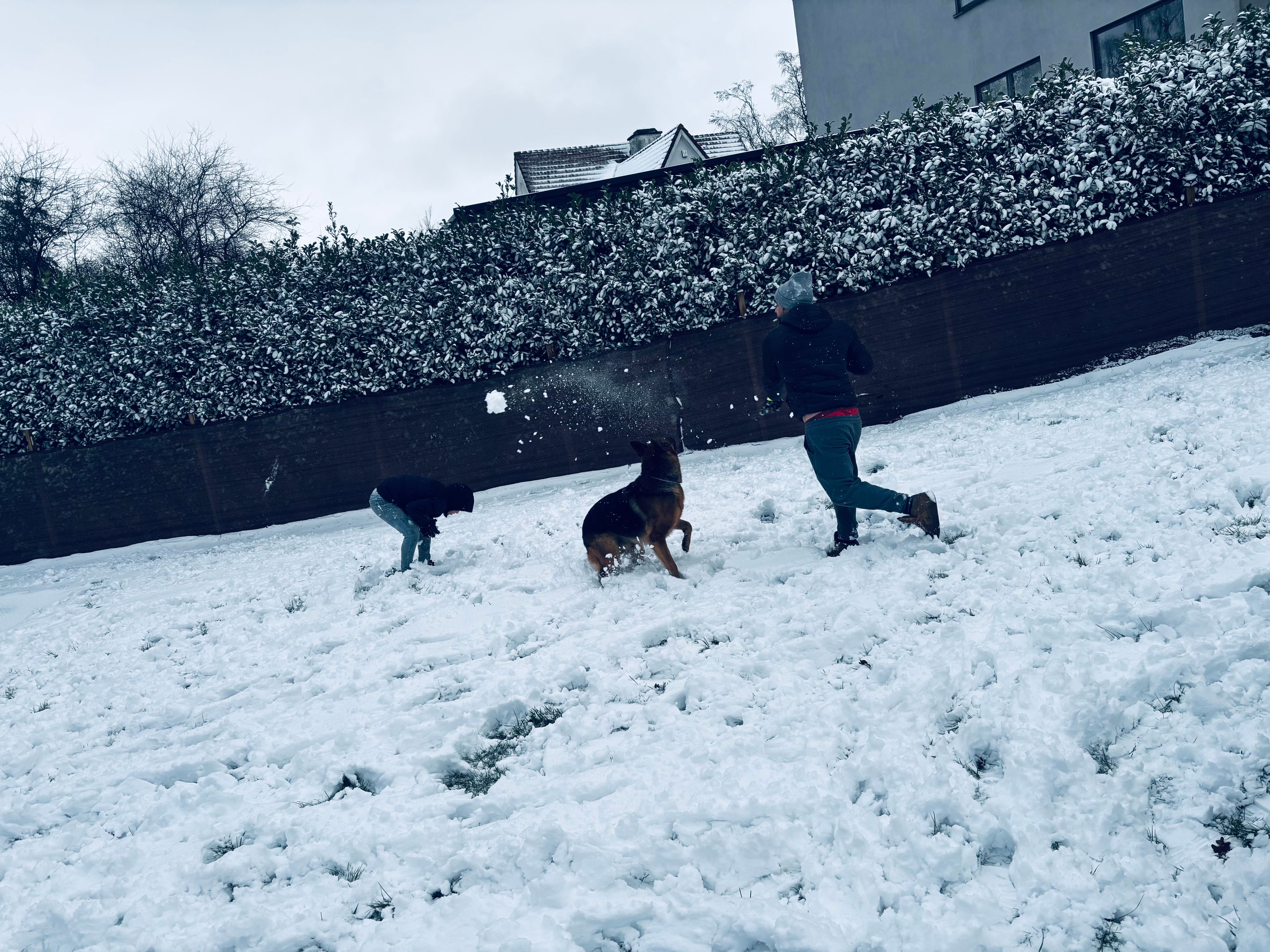 image-20