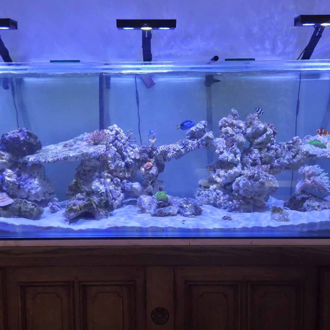 Zee aquarium