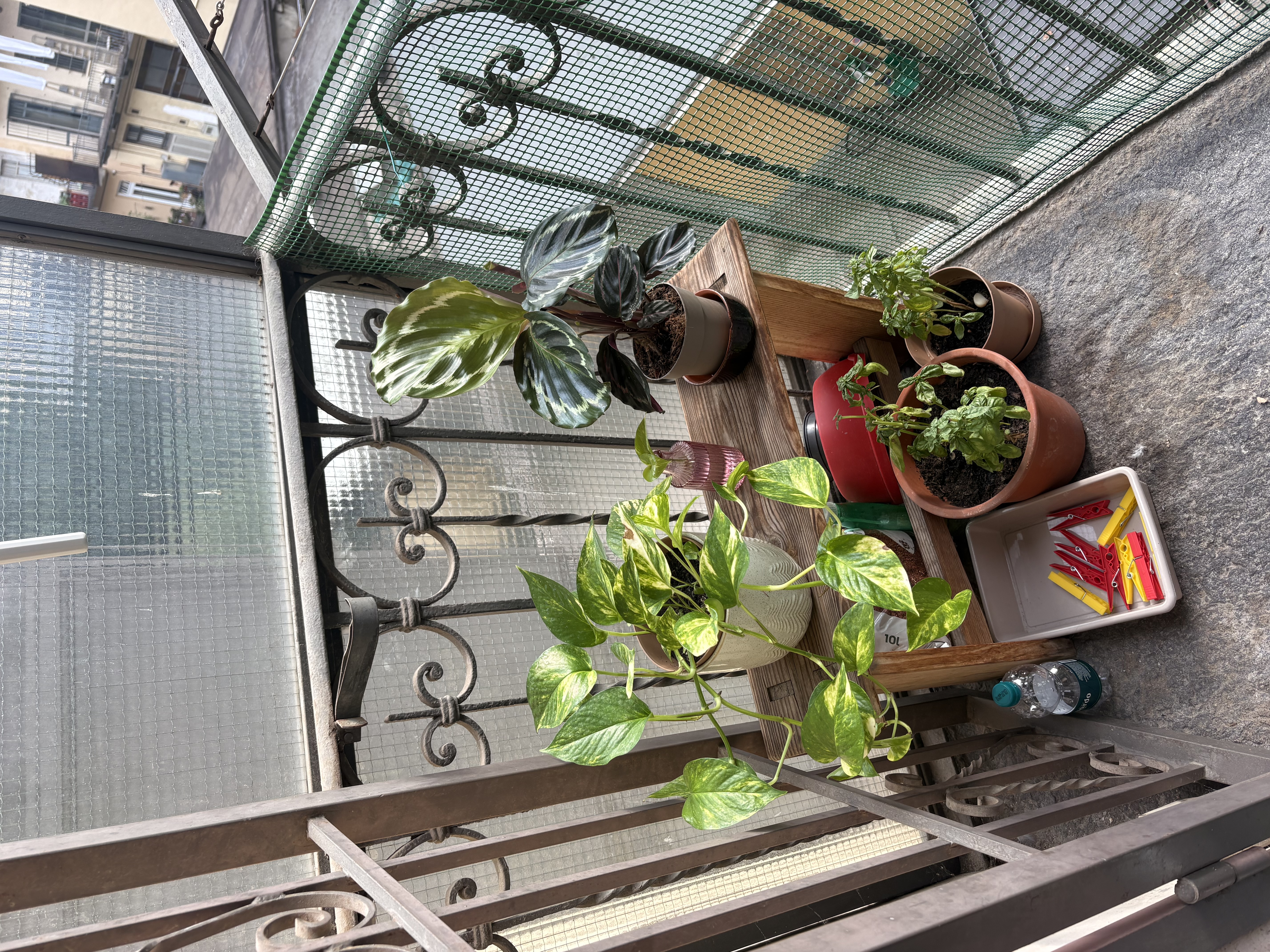 image-14