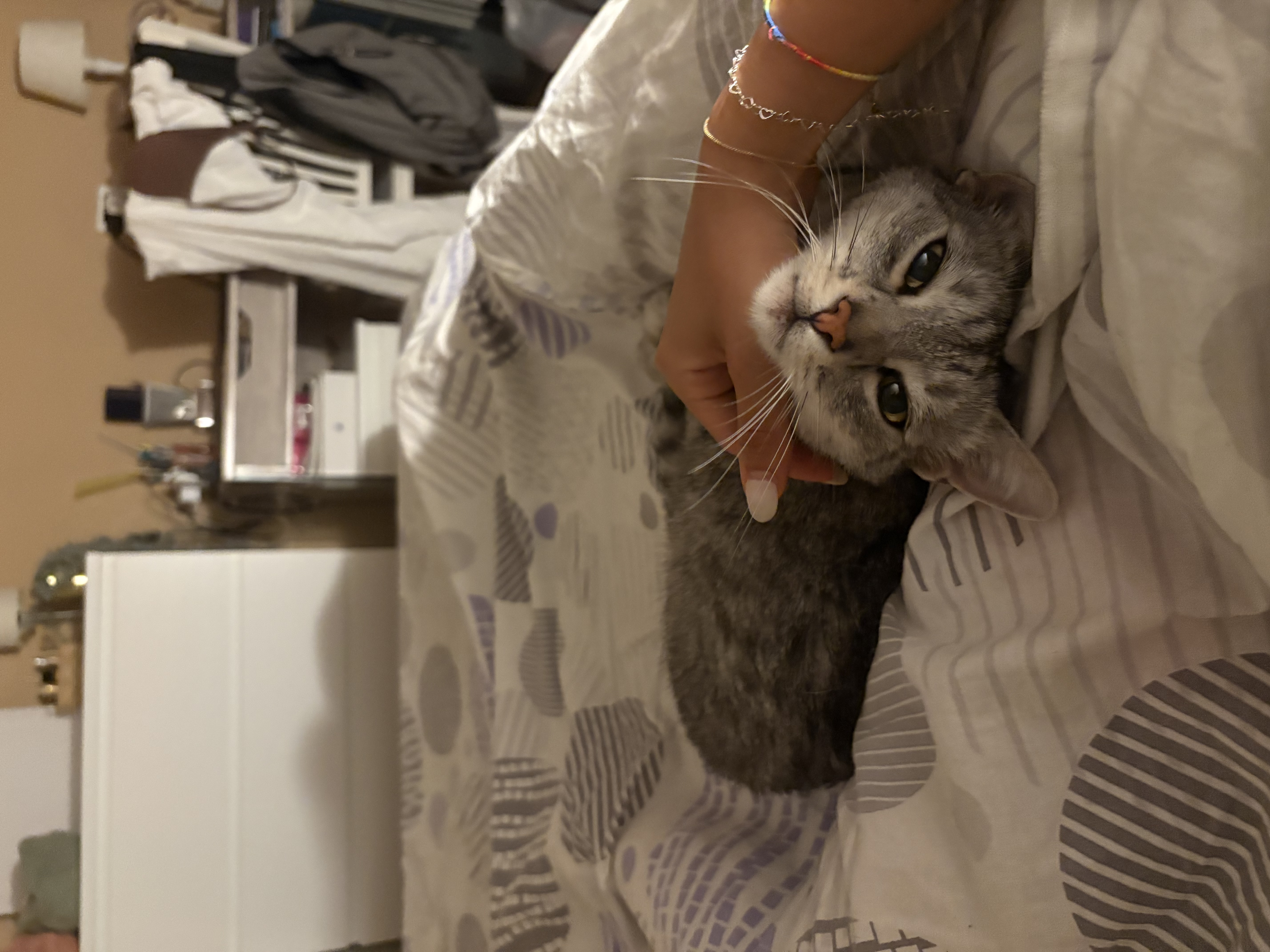 image-6