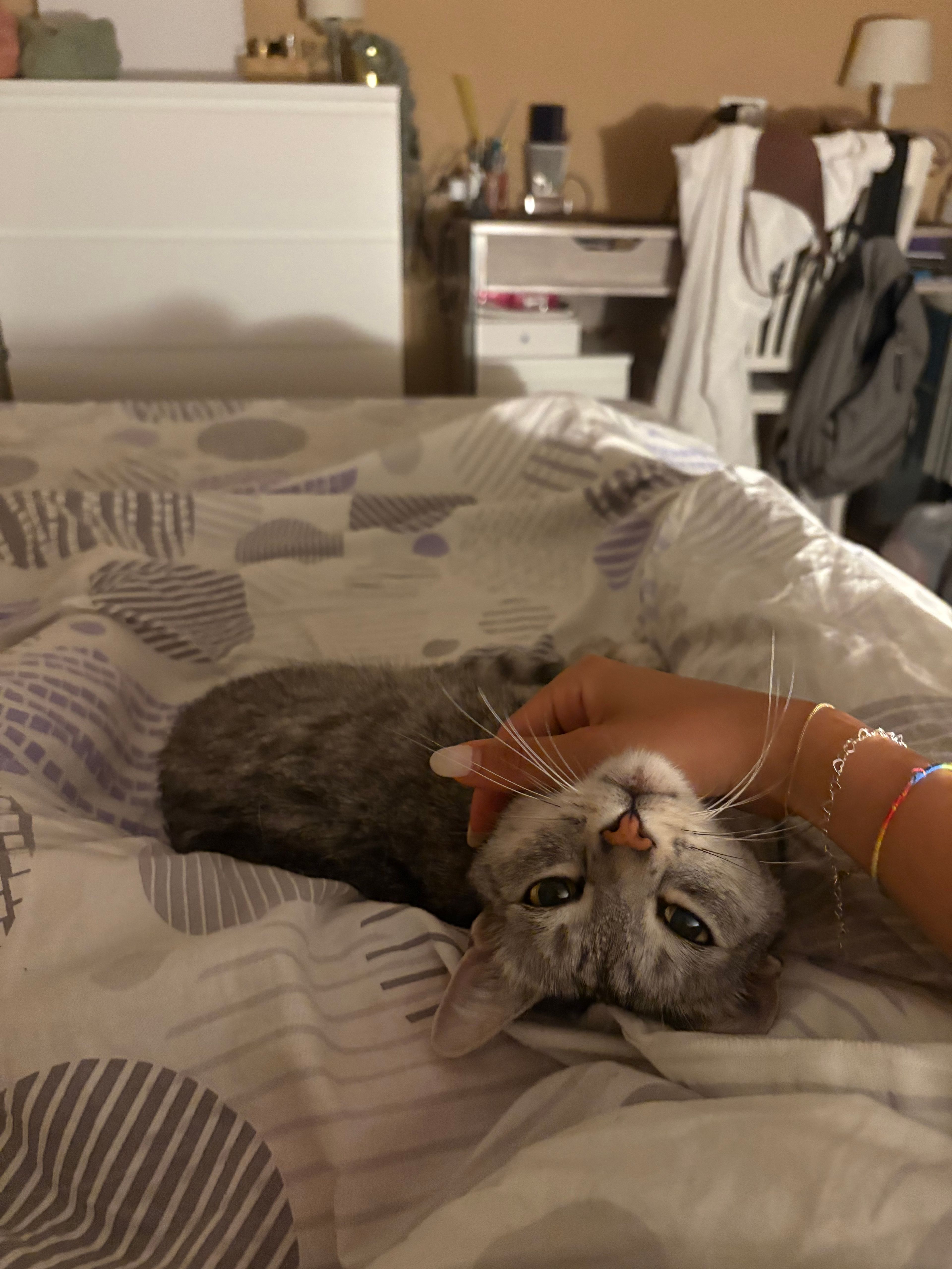 image-6