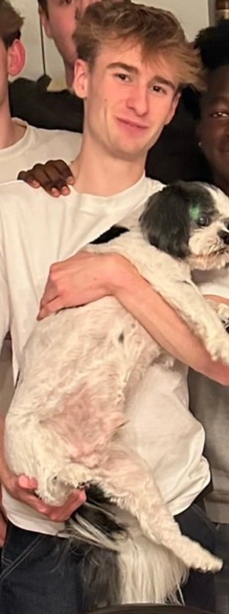 image-8