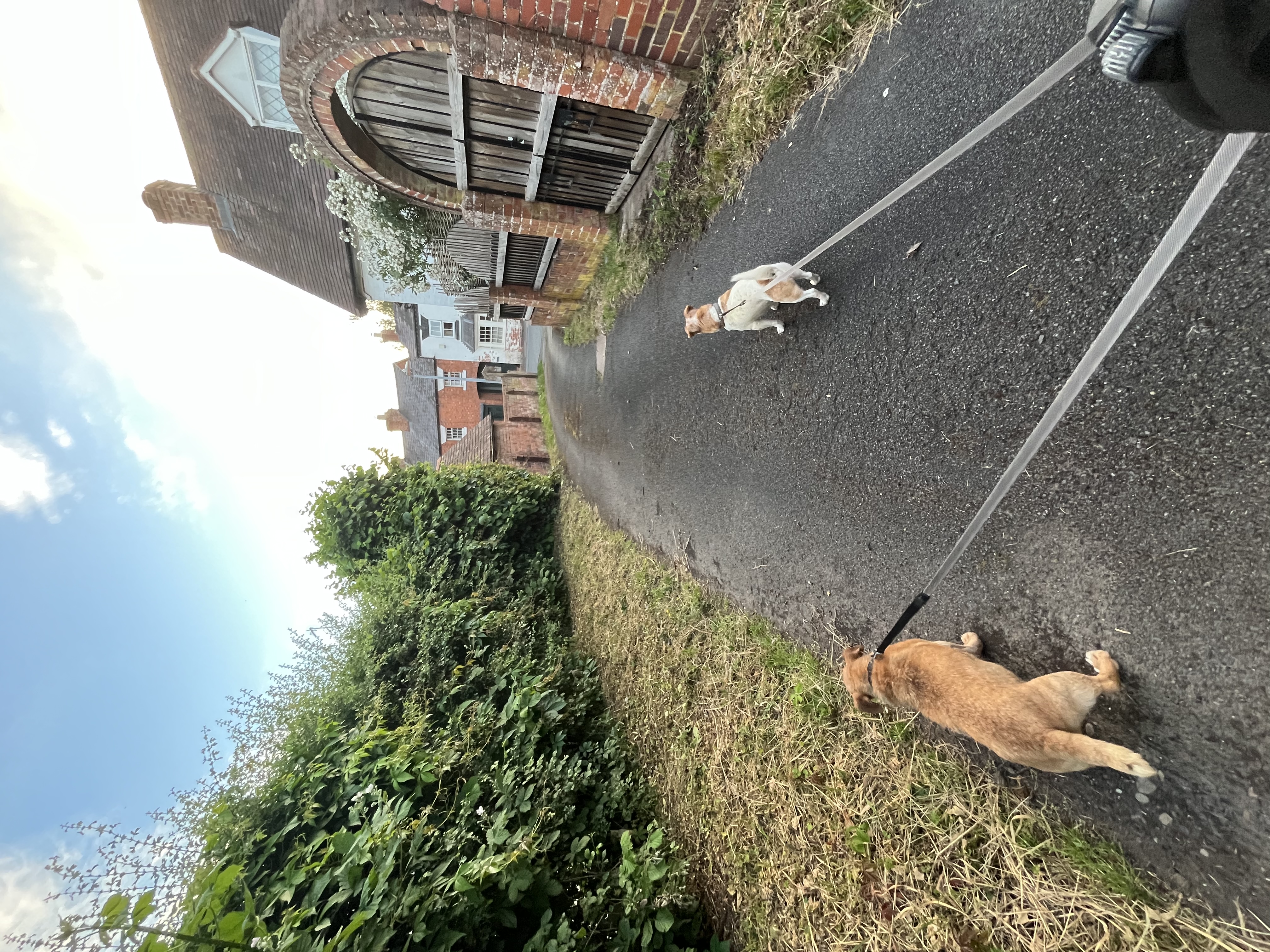 image-17