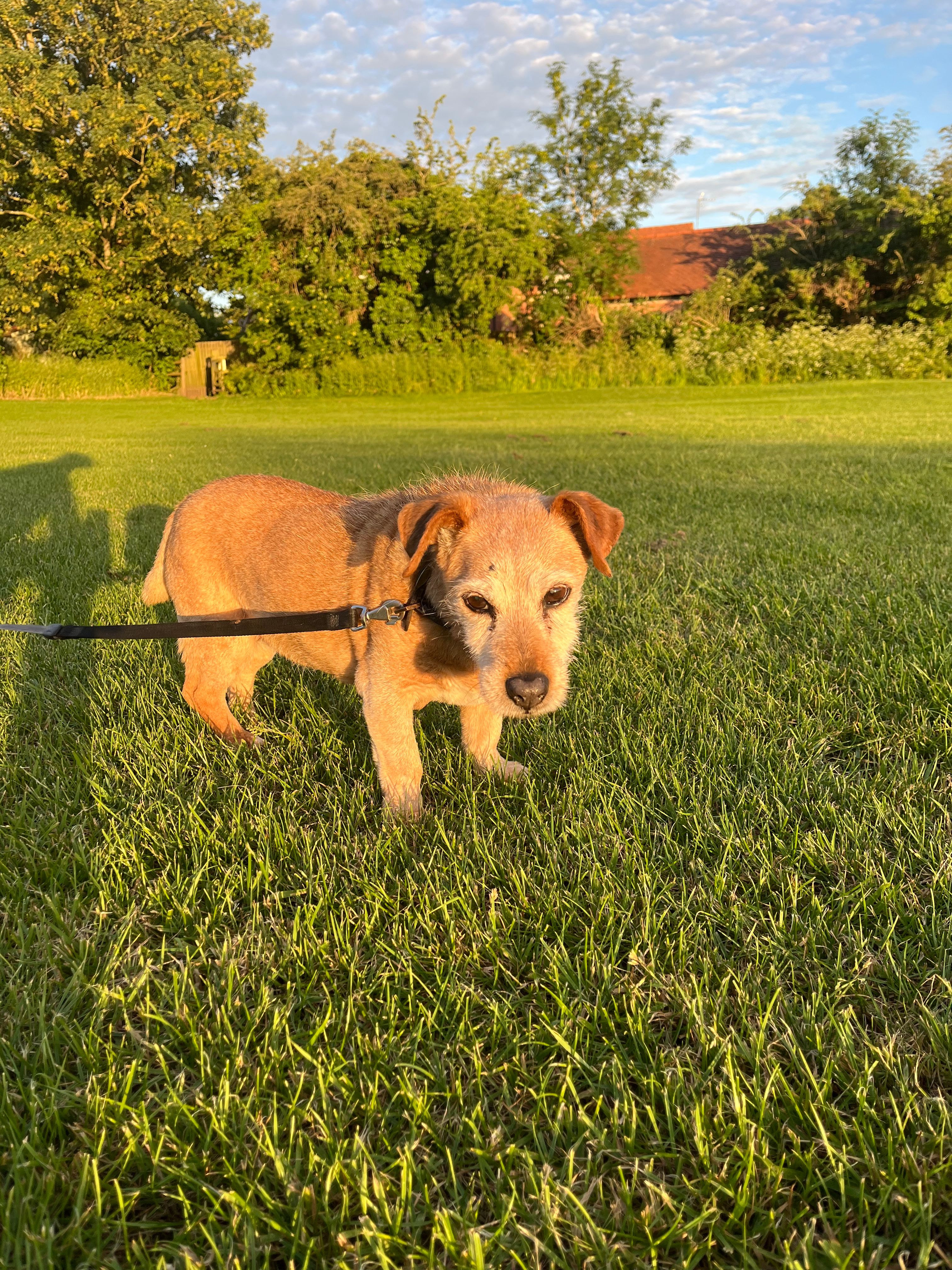image-15