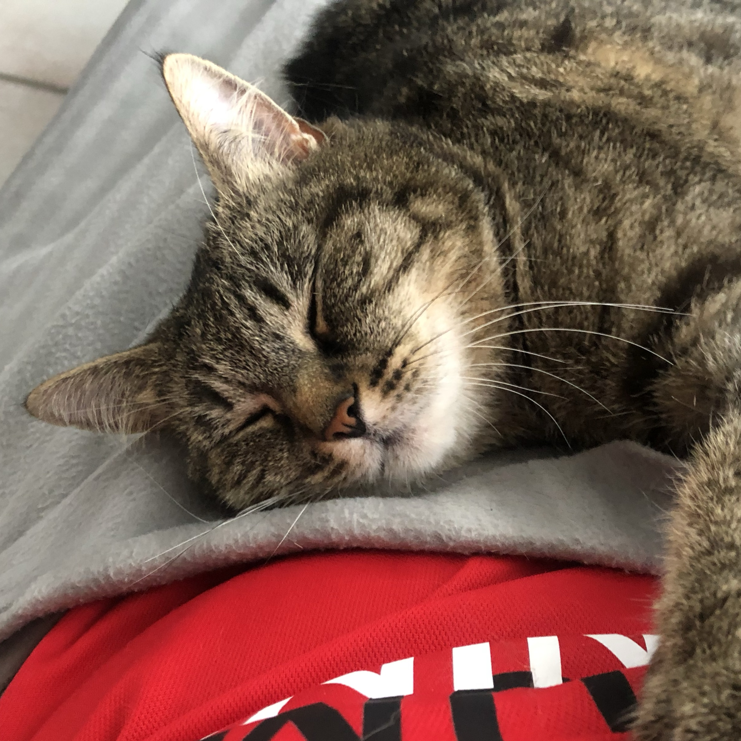 Mimi