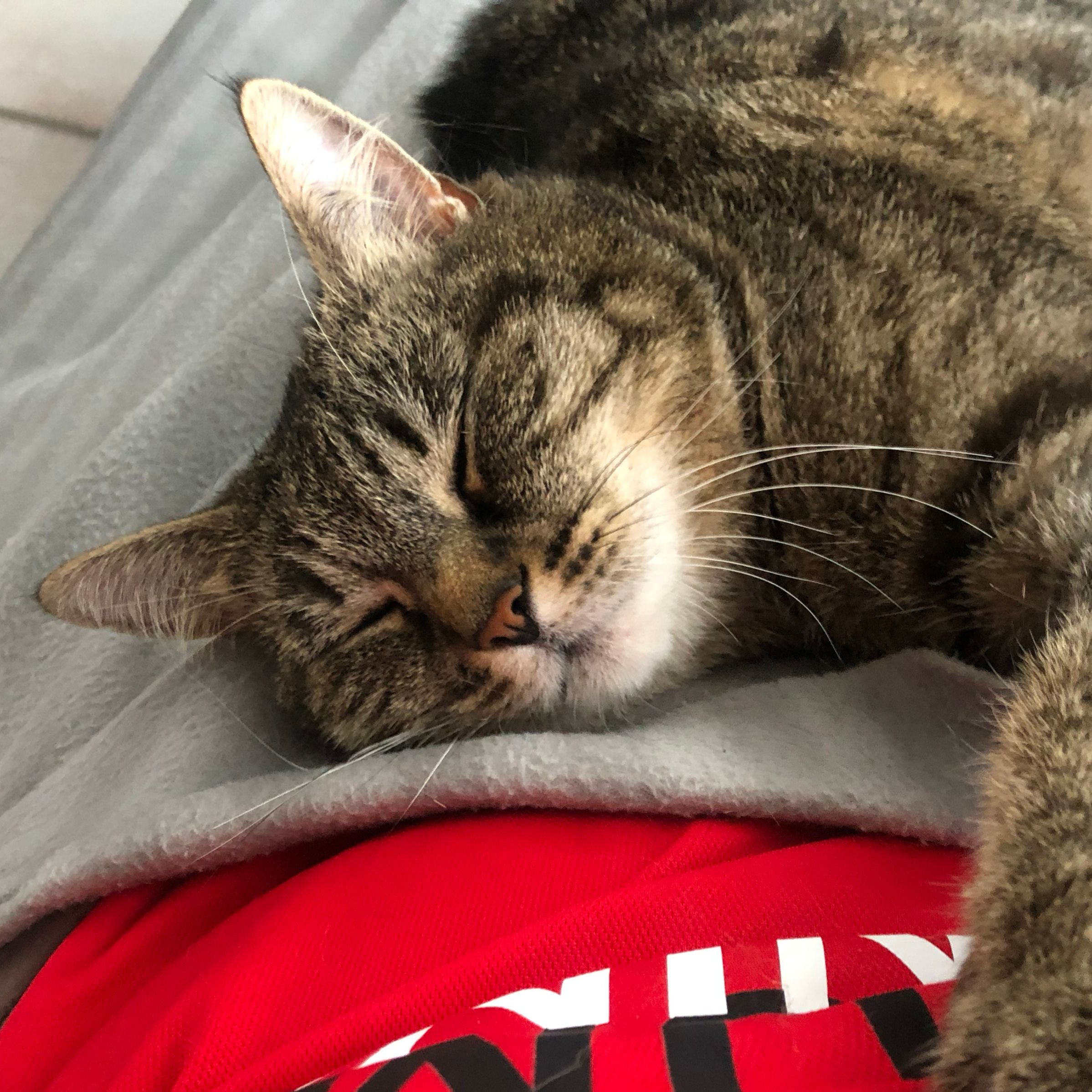 Mimi