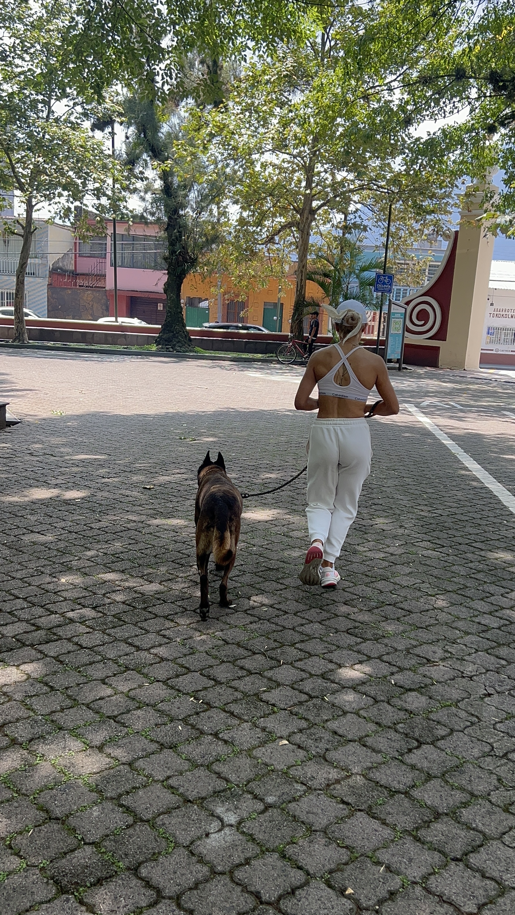image-8
