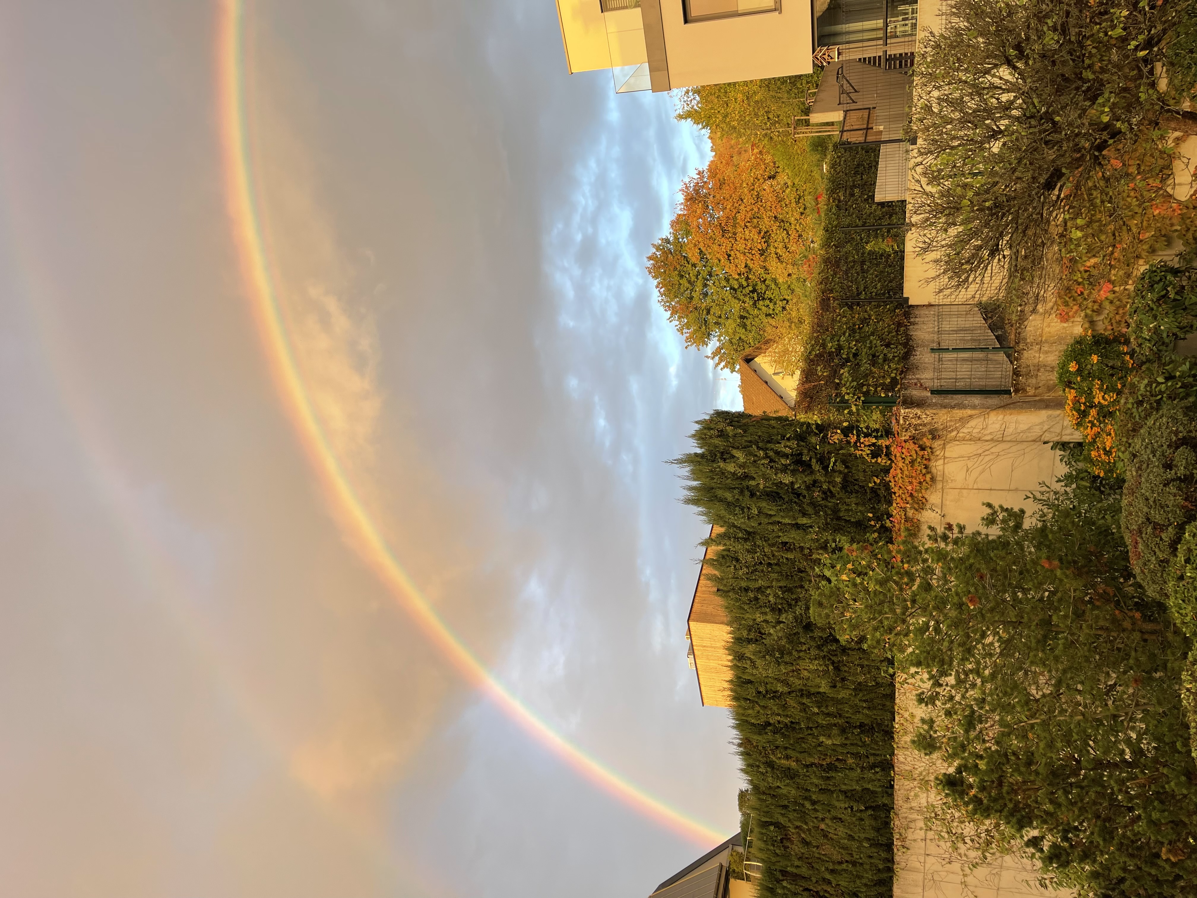 image-18