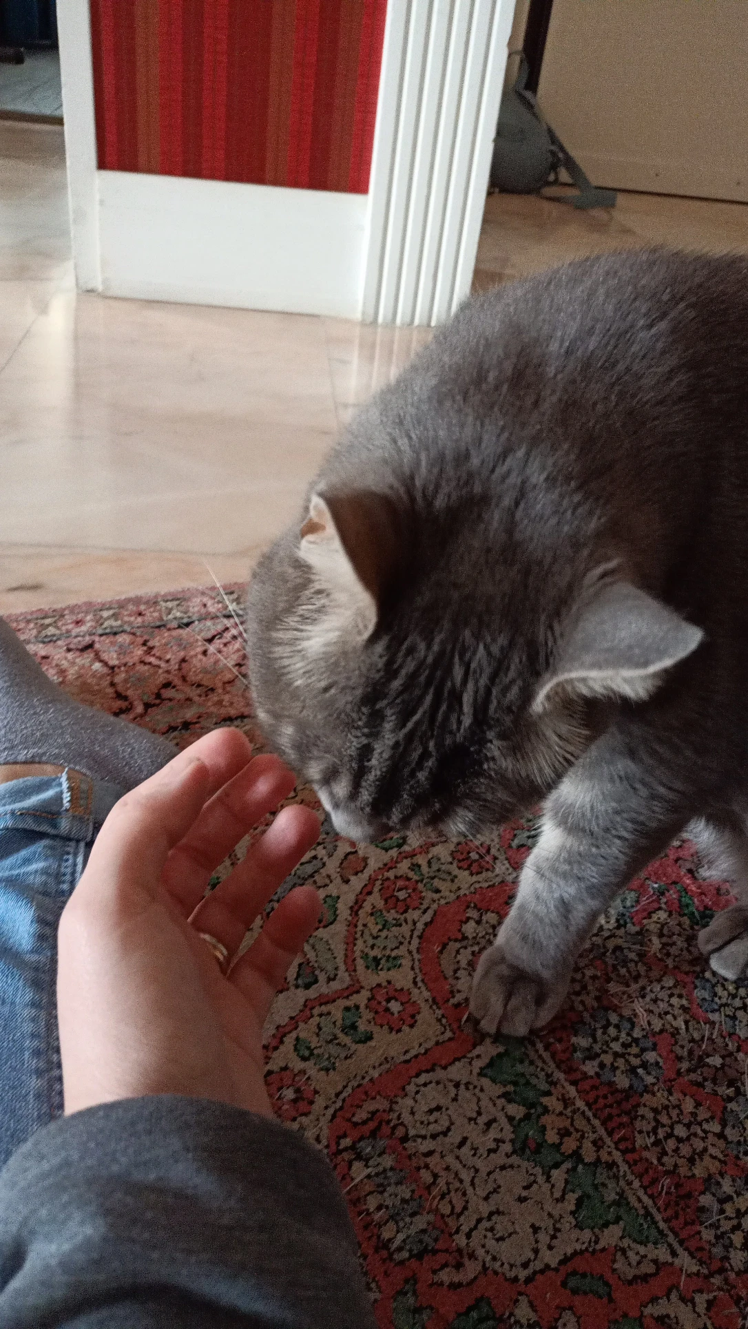 image-7