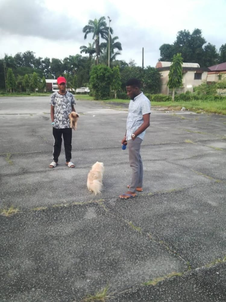 image-7