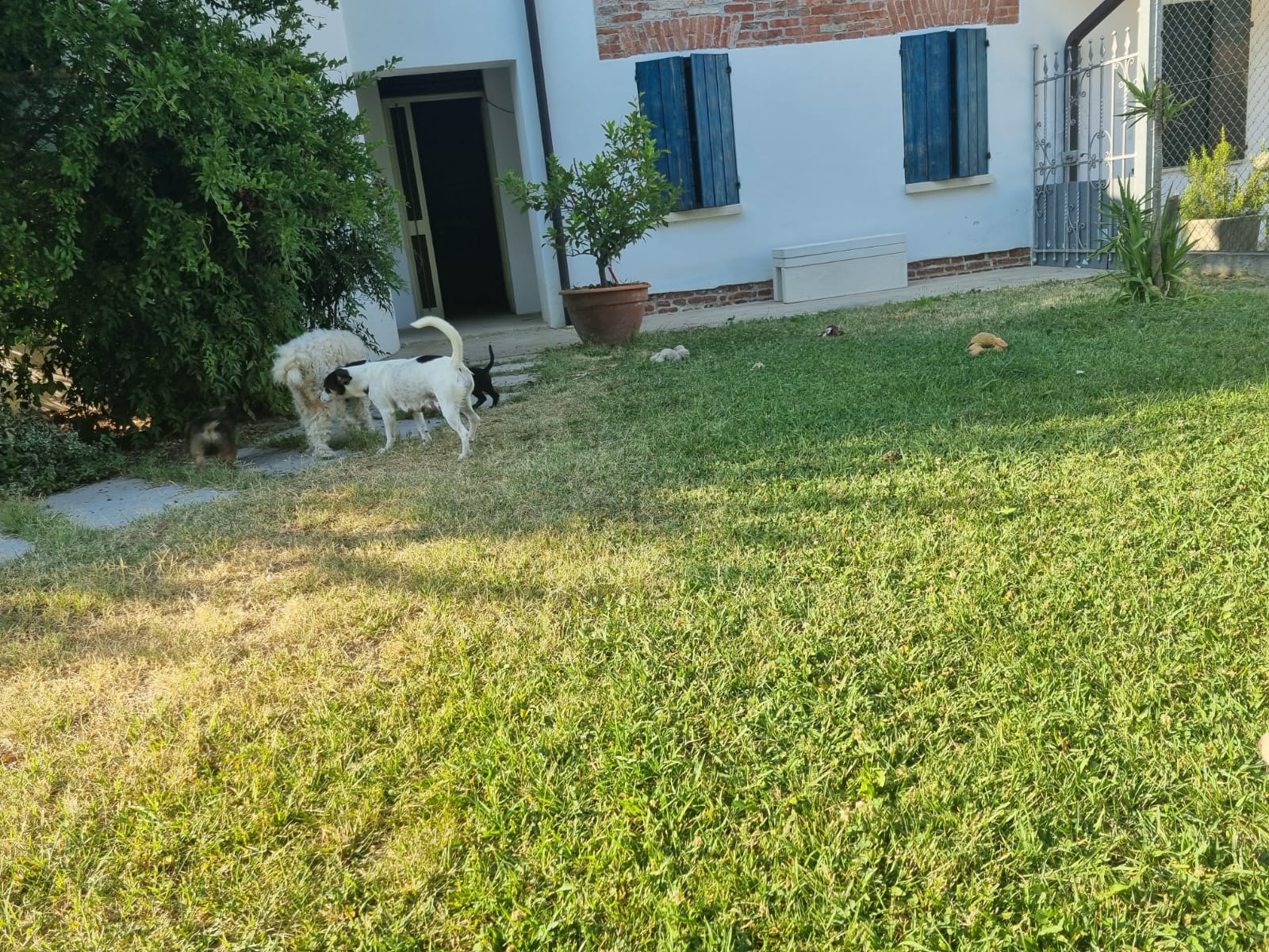 image-14